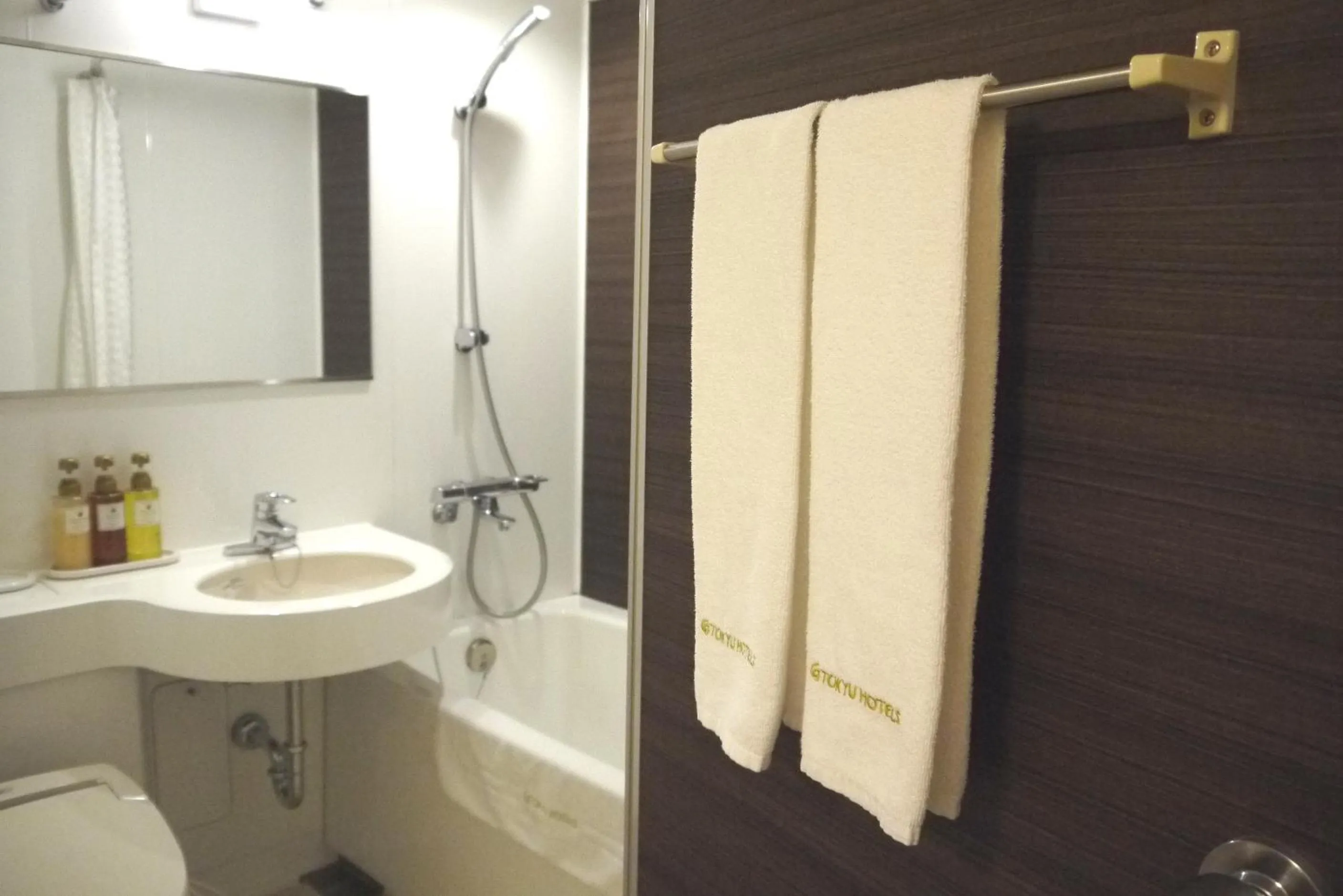 Bathroom in Takamatsu Tokyu REI Hotel