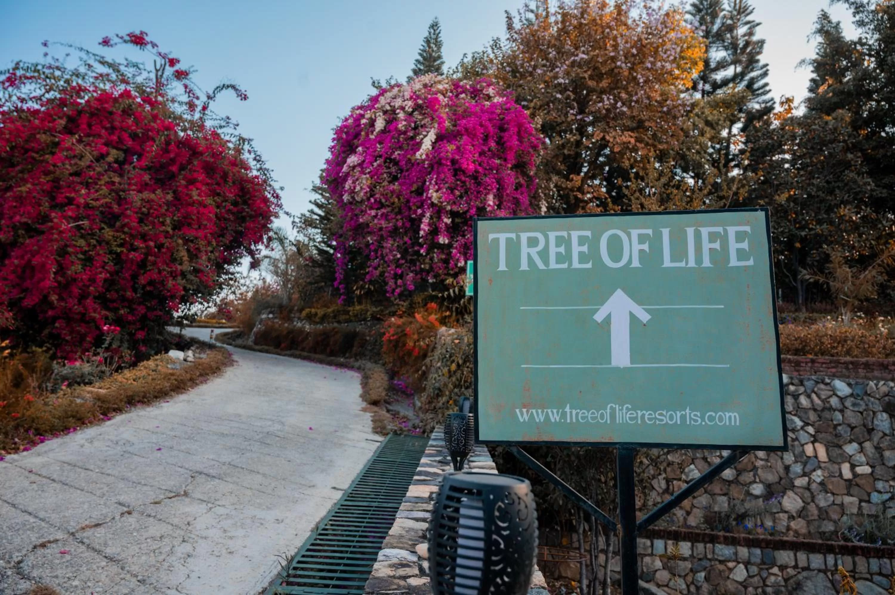 Tree of Life Resort Dehradun Foothills