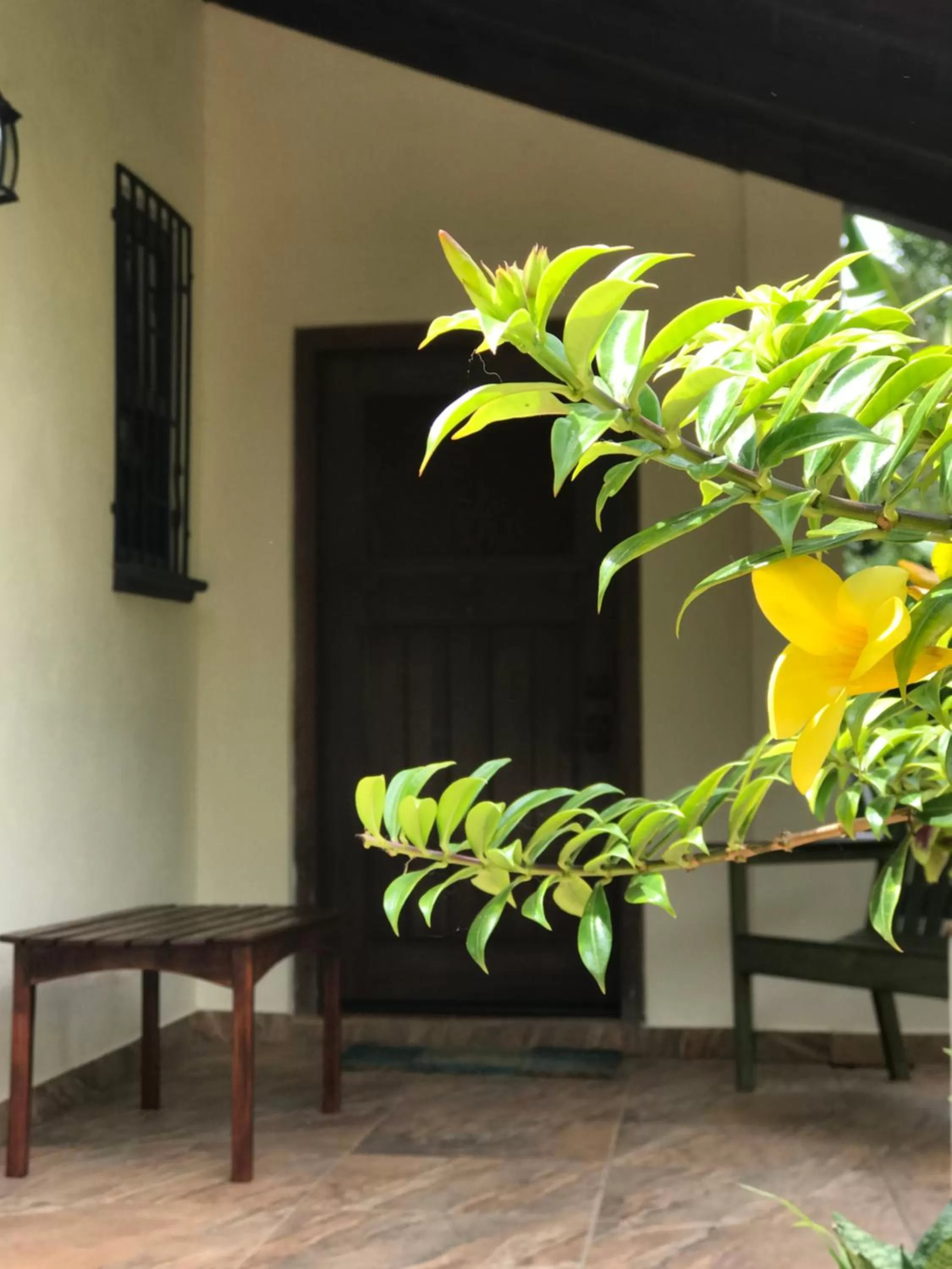 Facade/entrance, Seating Area in Sattva Land