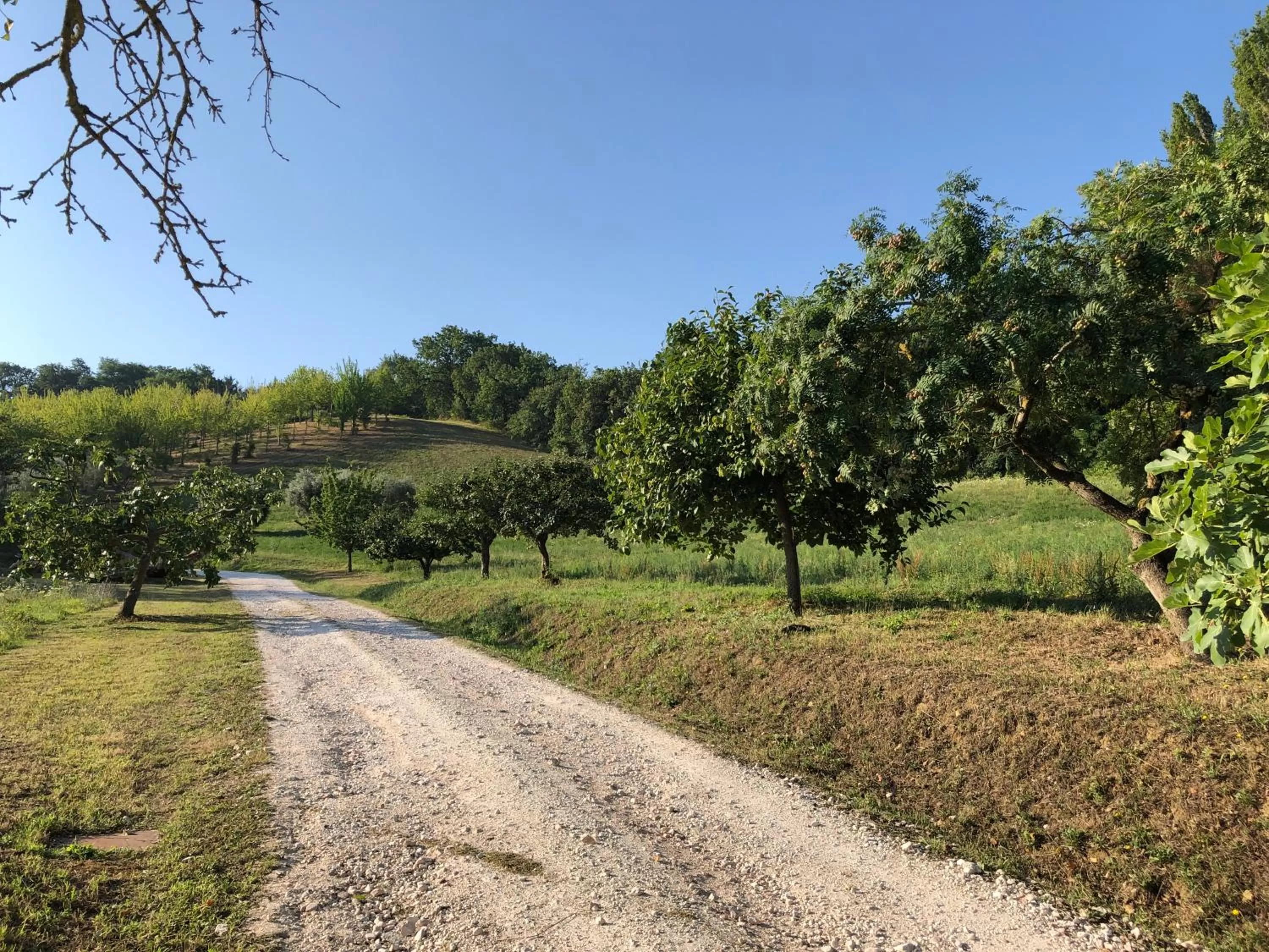 Natural landscape in Dai Ventu