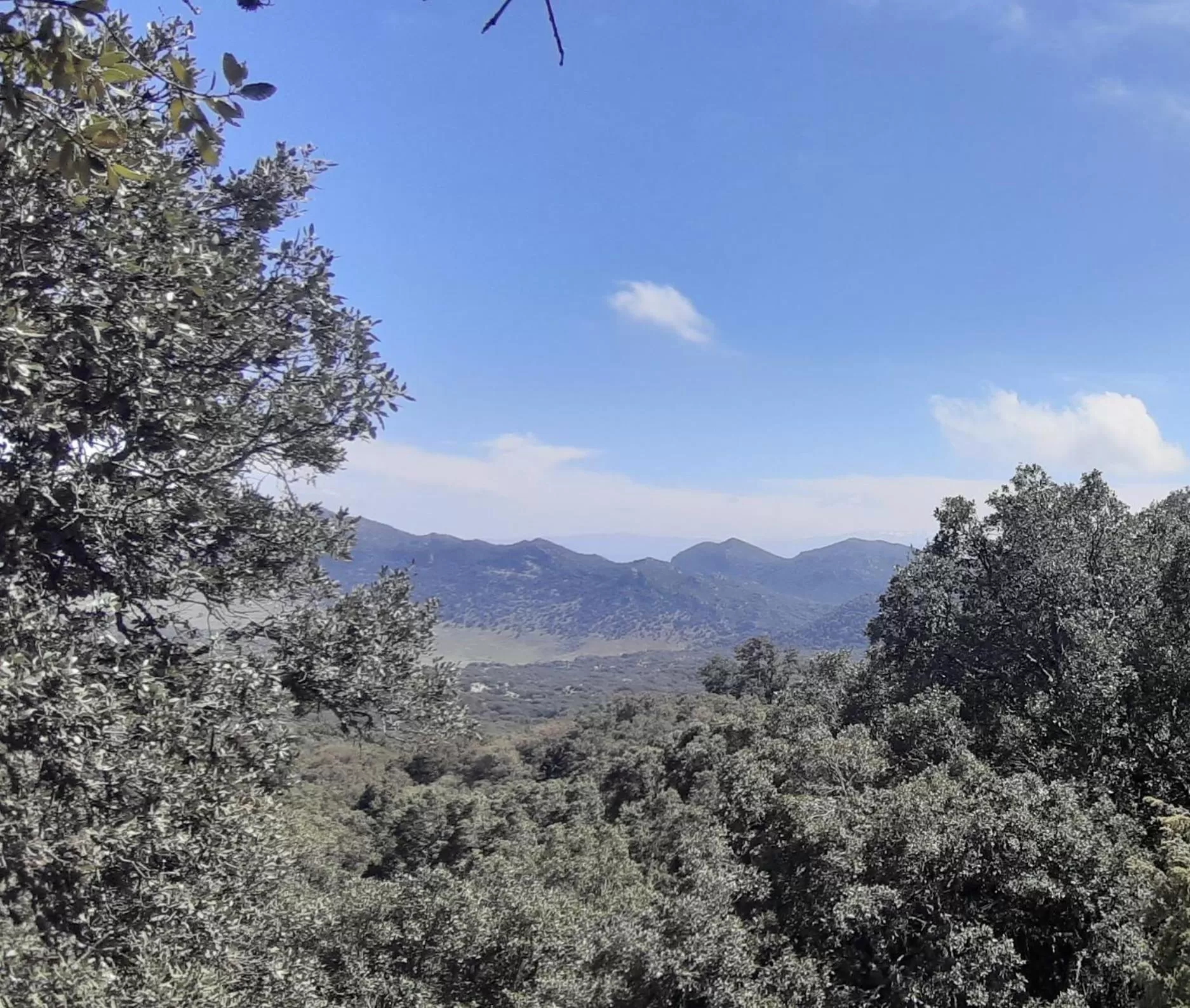 Mountain View in TAZEKKA PARC HOTEL