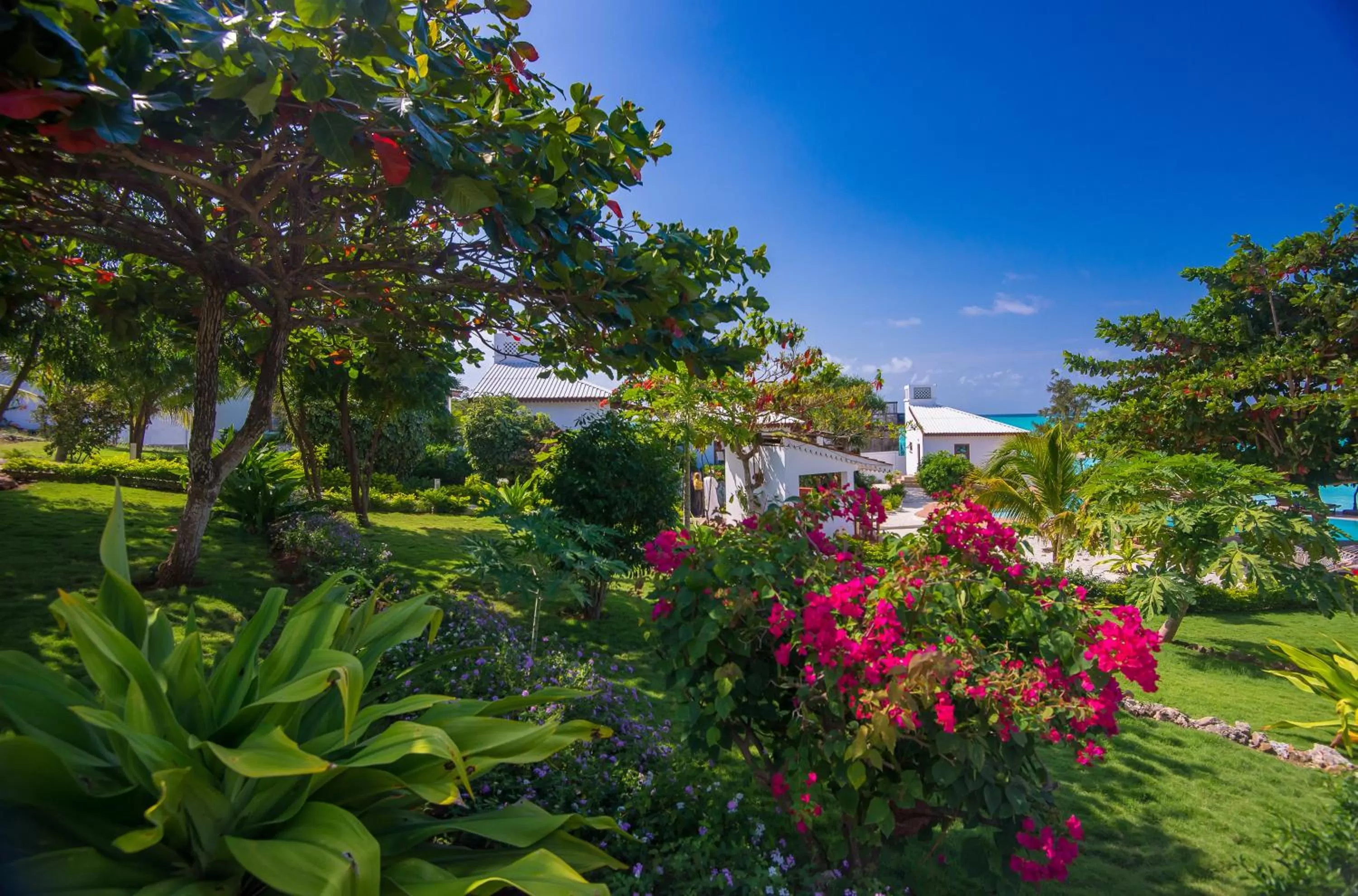 Garden in Warere Beach