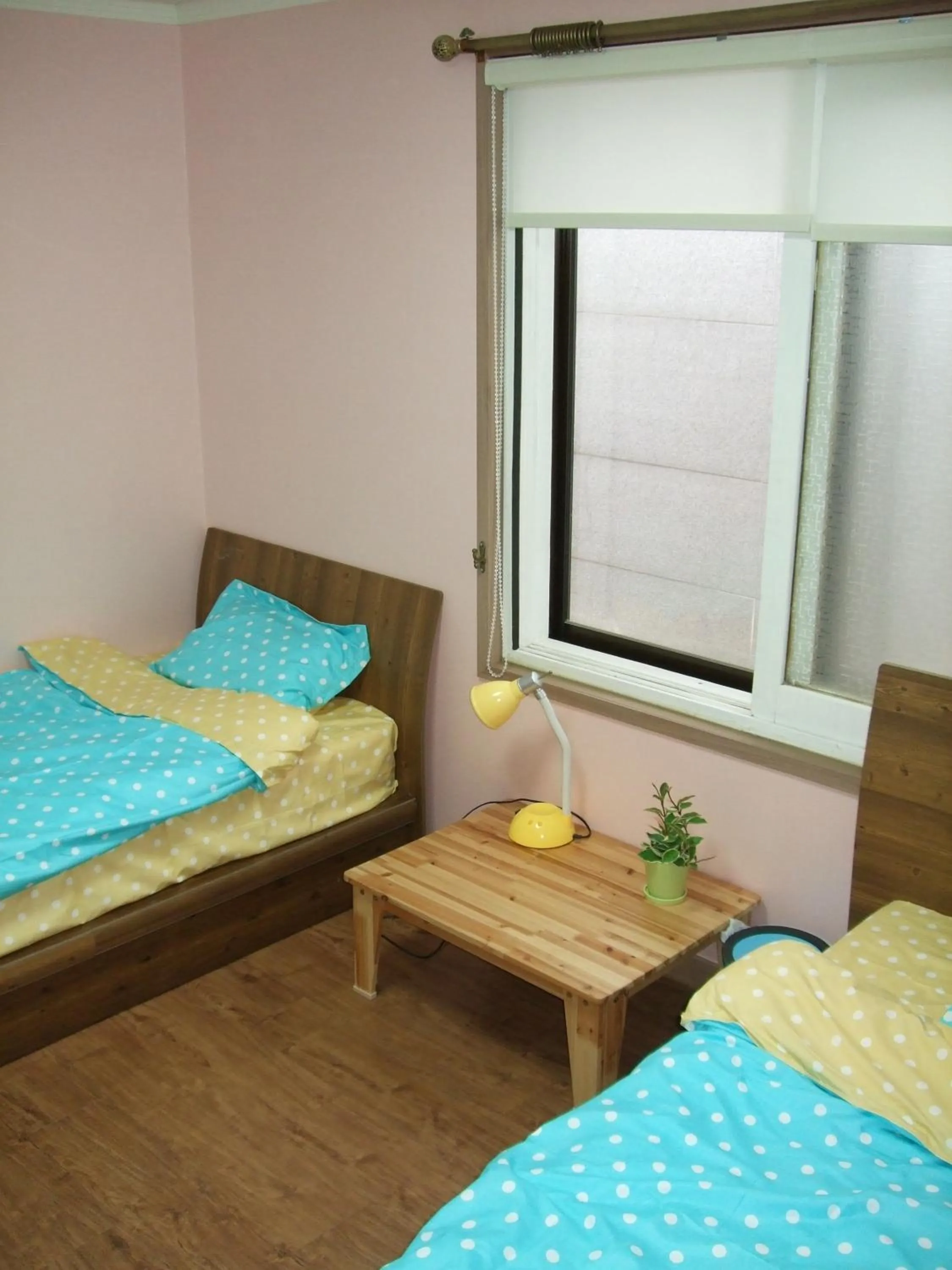 Bed in Birdsnest Hostel Hongdae Foreigner only