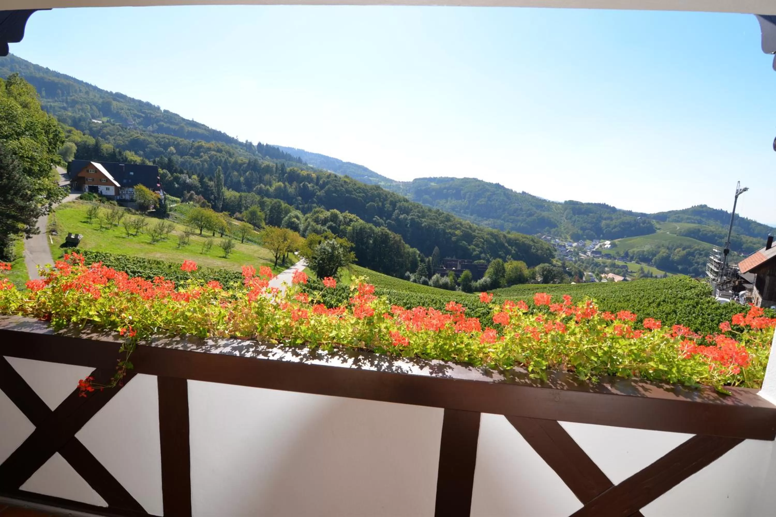 Balcony/Terrace, Mountain View in RelaxHotel Tannenhof