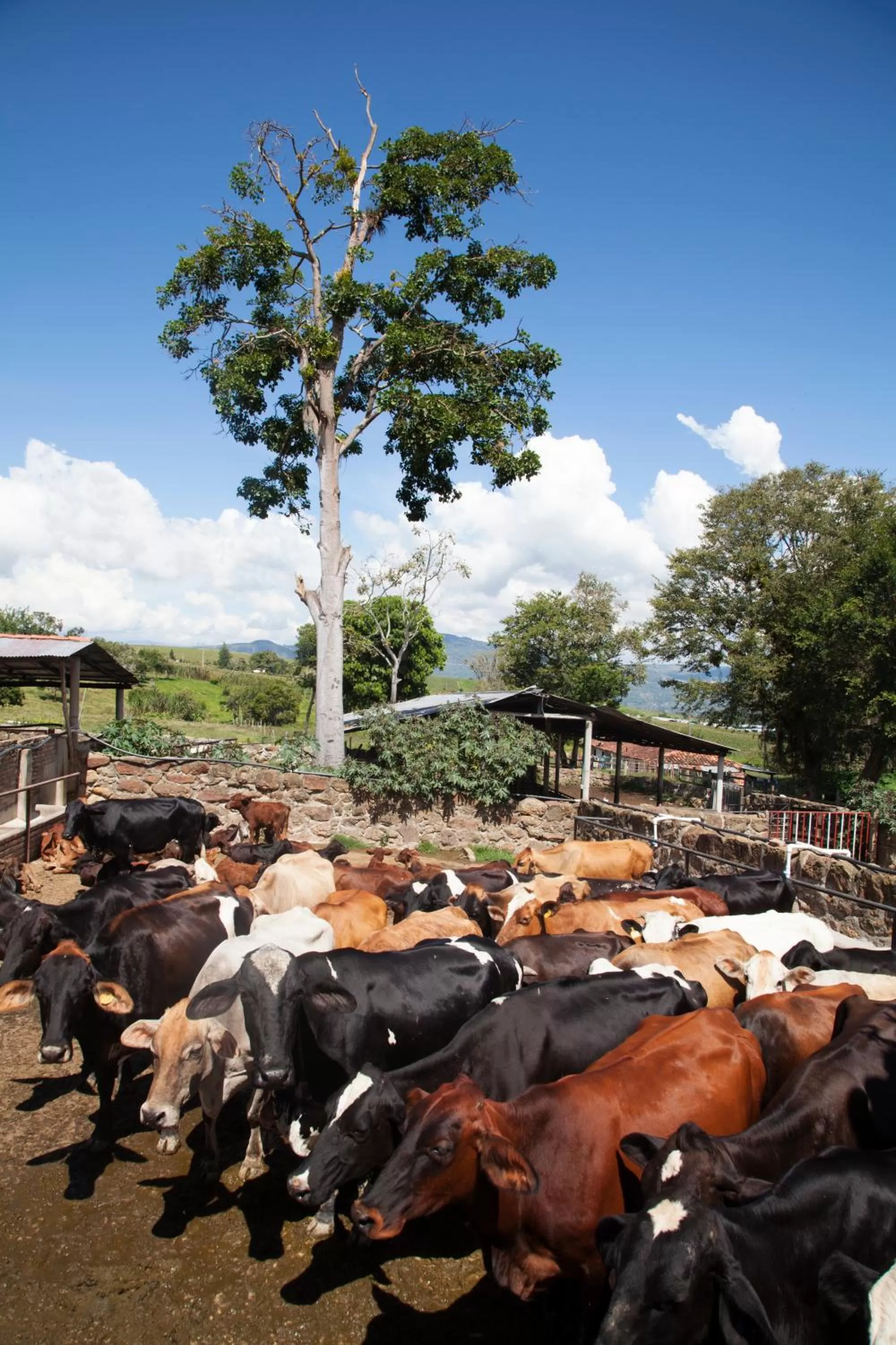 Property building in Hotel Hacienda Santa Barbara