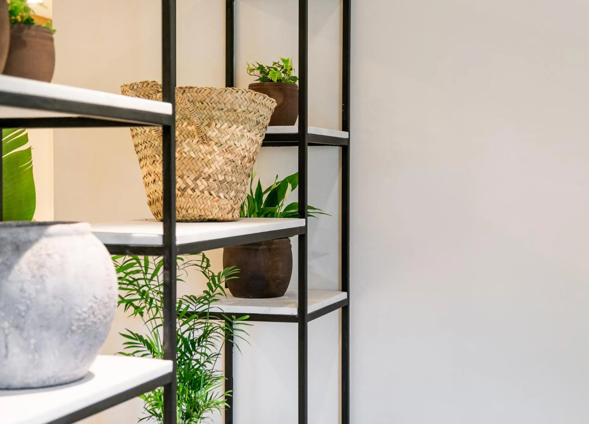 Lobby or reception in Hotel Eden Nord Soller