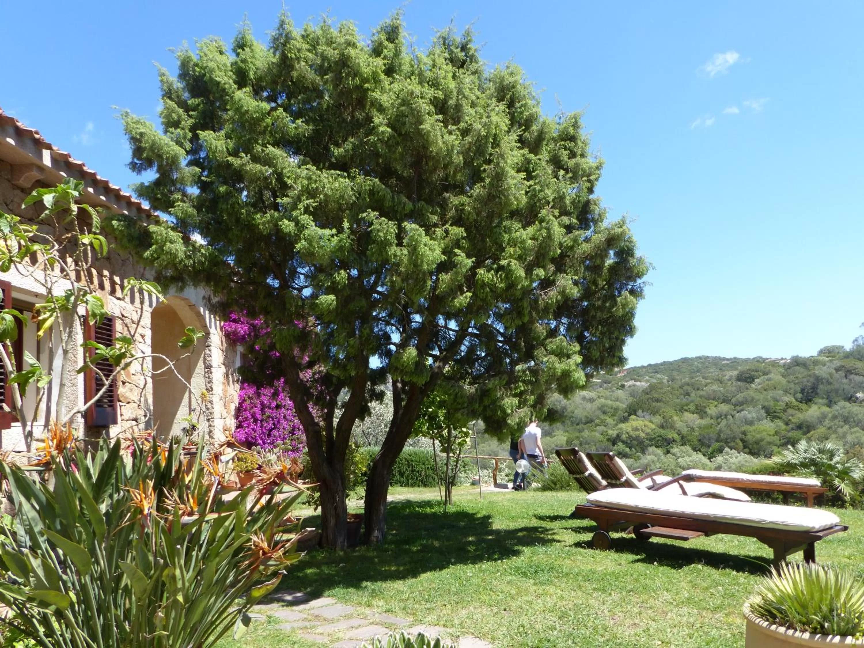 Garden in B&B La Murichessa