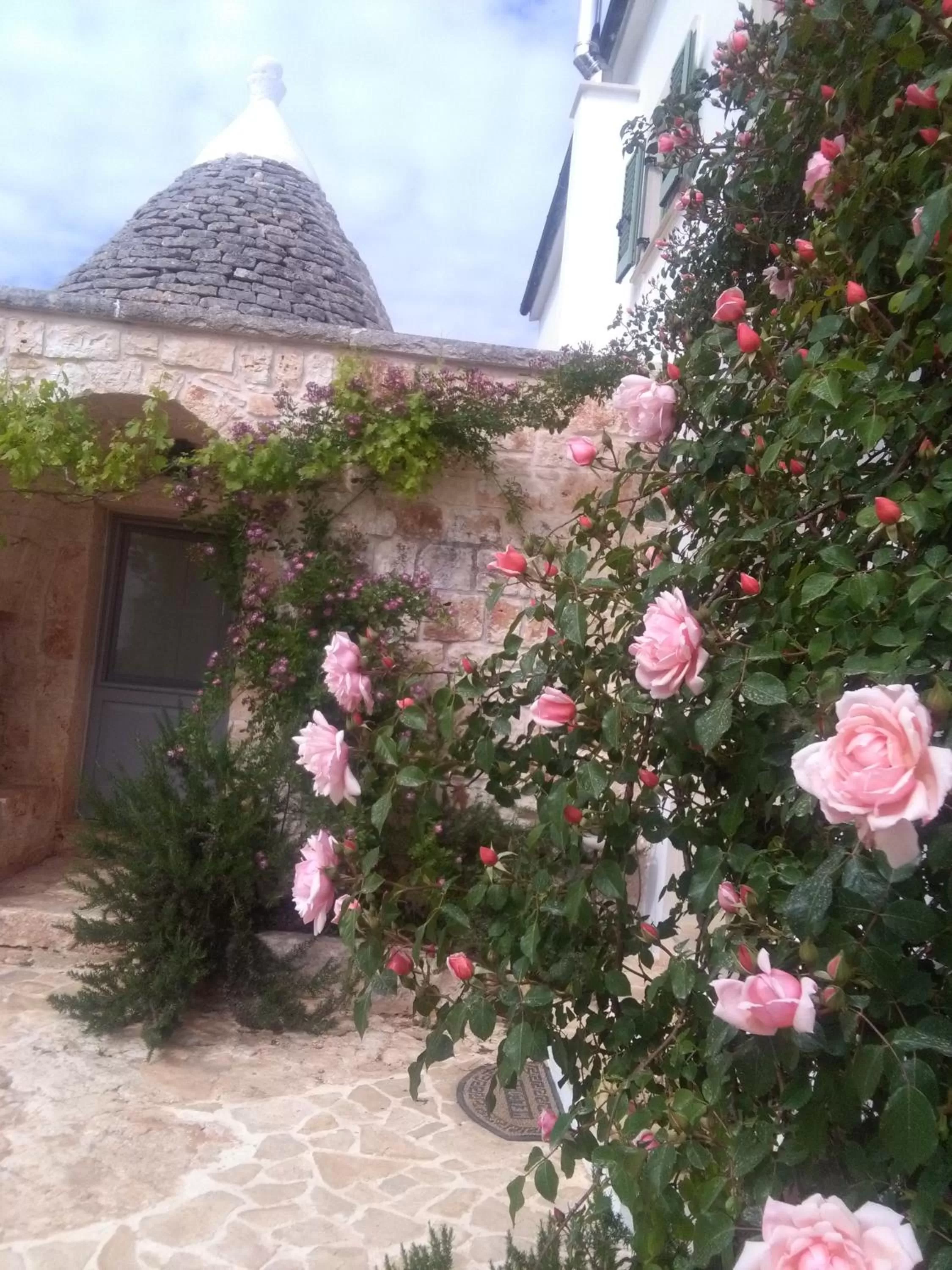 Facade/entrance, Property Building in B&B Giovannarolla Green House