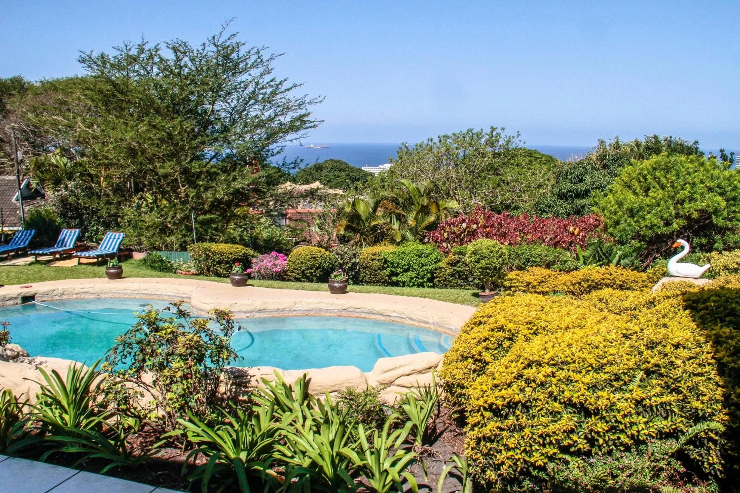 Pool View in Addis Bed and Breakfast