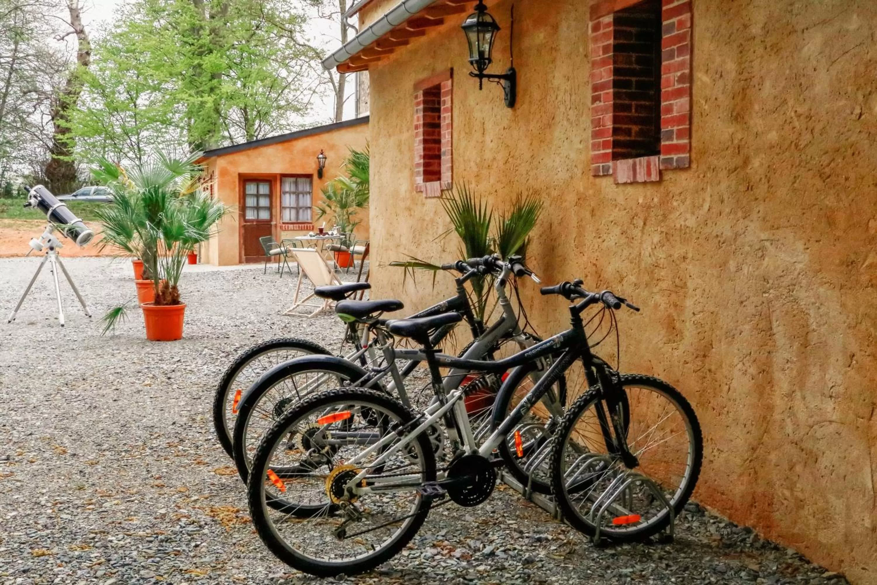 Spring in Hôtel des 4 continents - Le Mans