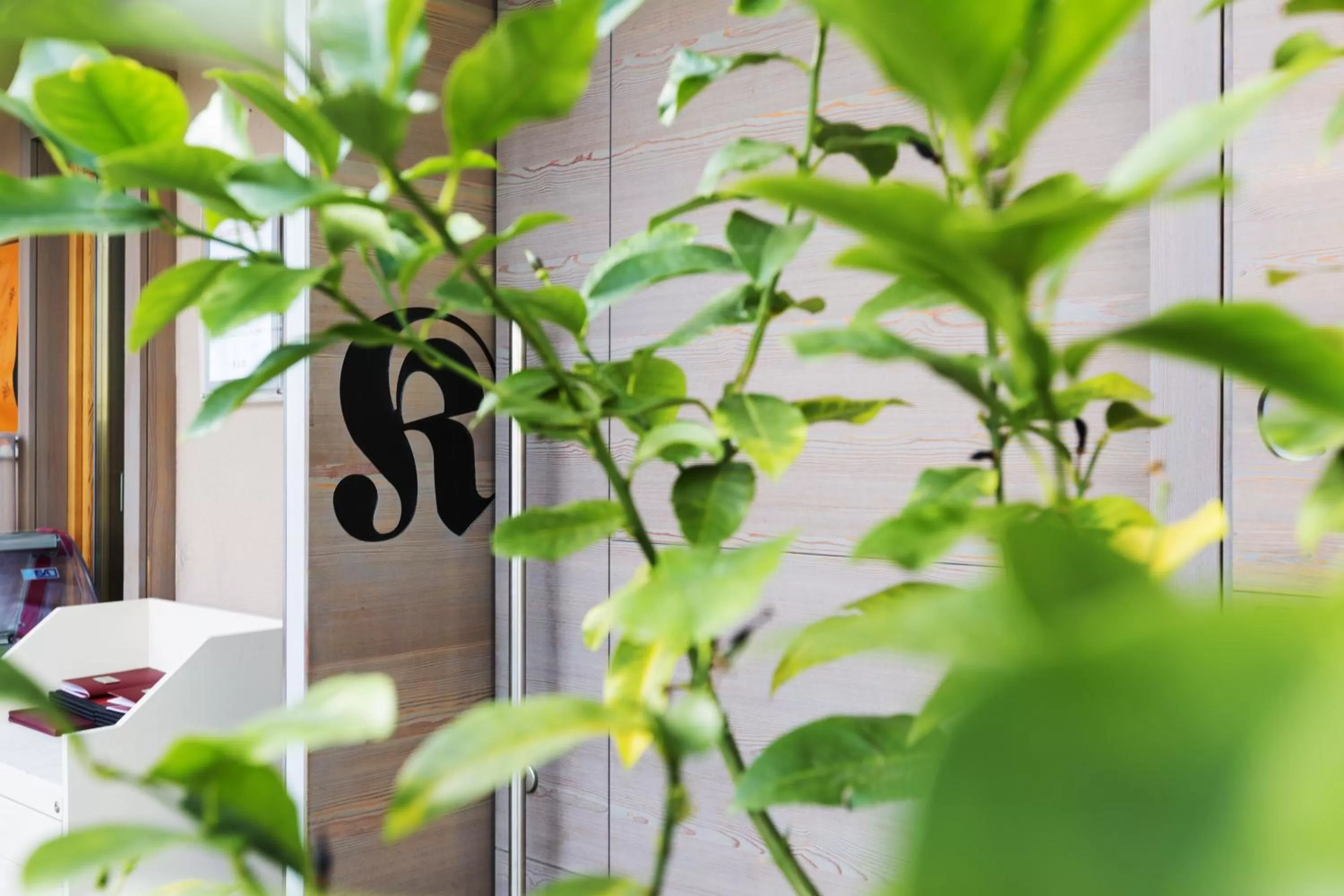 Facade/entrance in Kleinkunsthotel