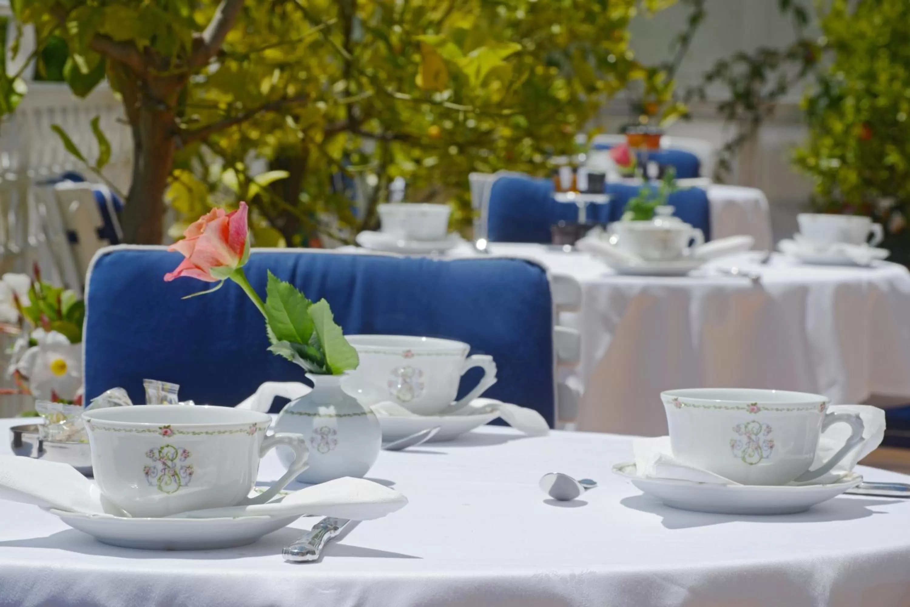 Restaurant/places to eat in Hotel Splendid