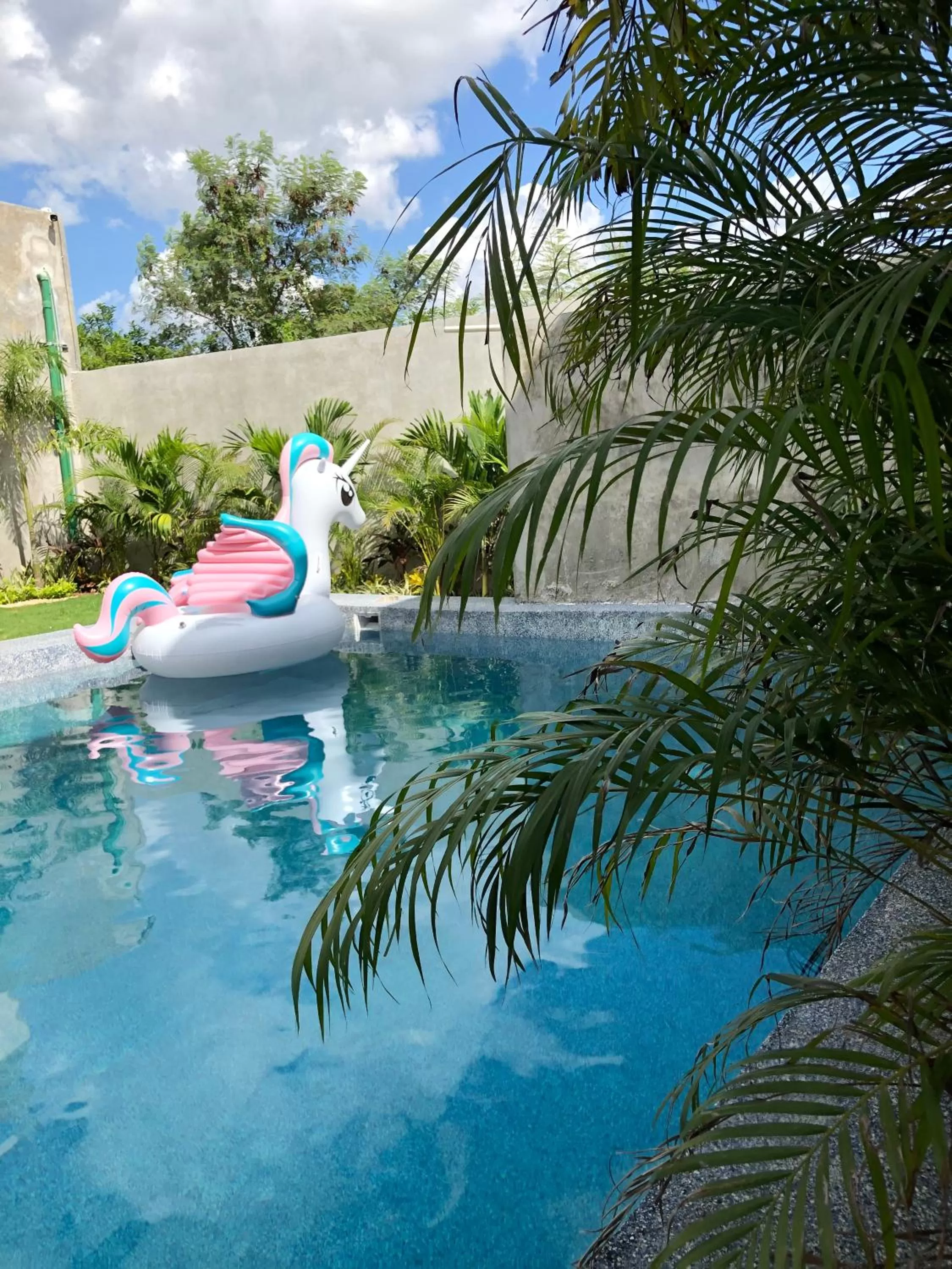 Swimming Pool in Hotel Suites La Negra Boutique