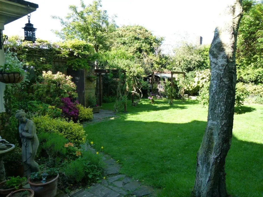 Activities in Iolanthe