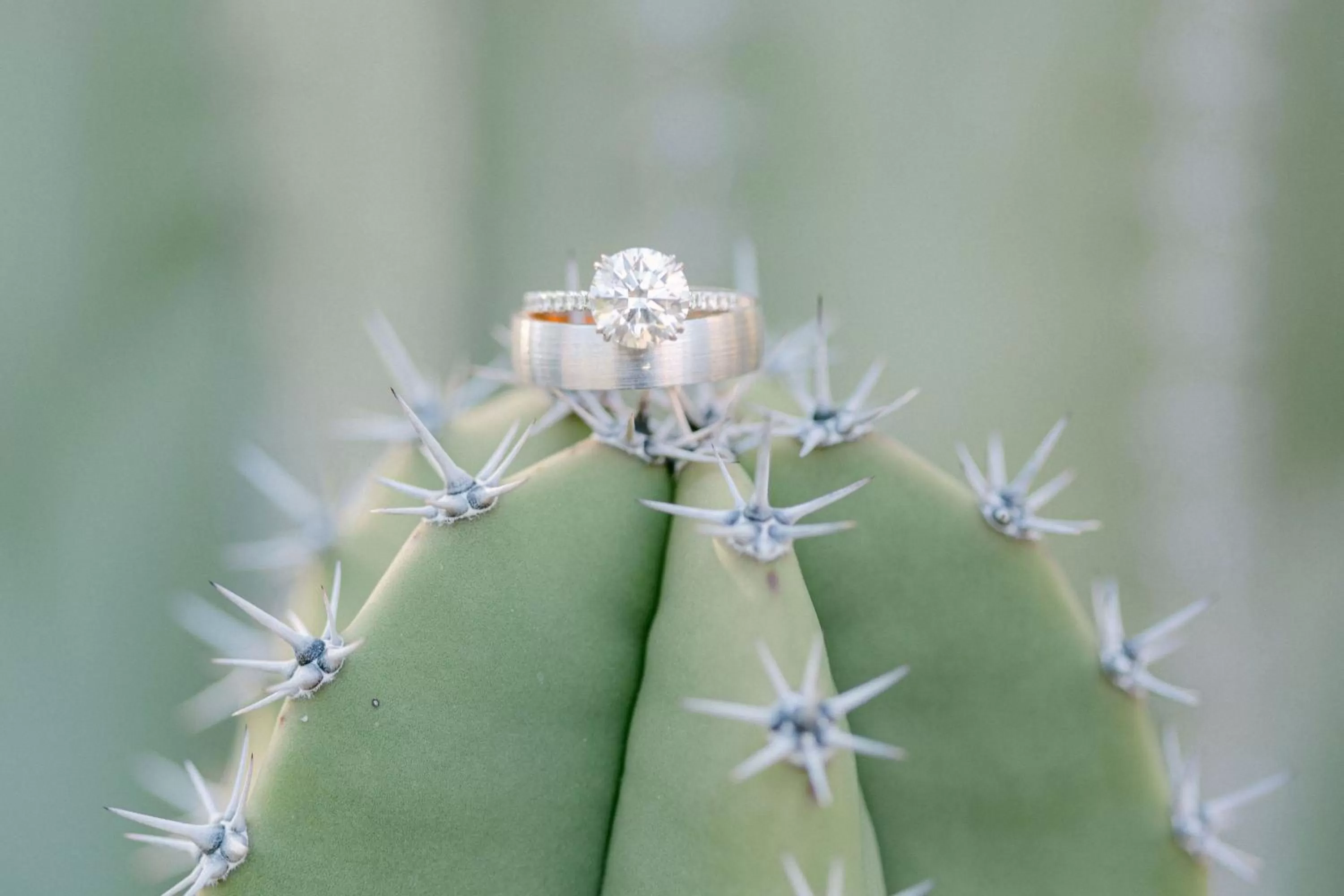 Banquet/Function facilities in The Phoenician, a Luxury Collection Resort, Scottsdale