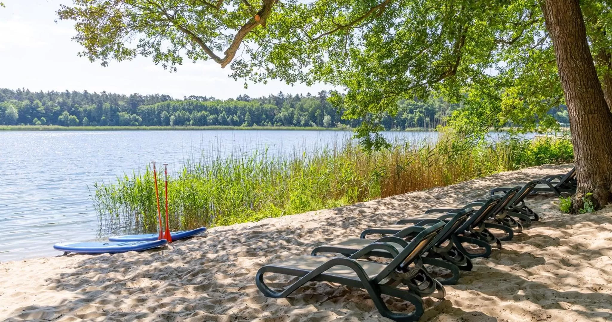 Beach in Hotel Döllnsee-Schorfheide