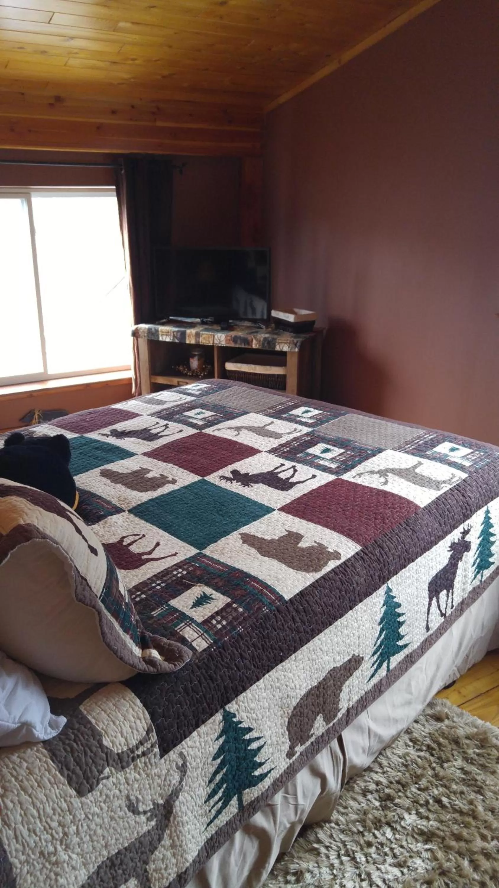 View (from property/room) in Strong Timbers BnB