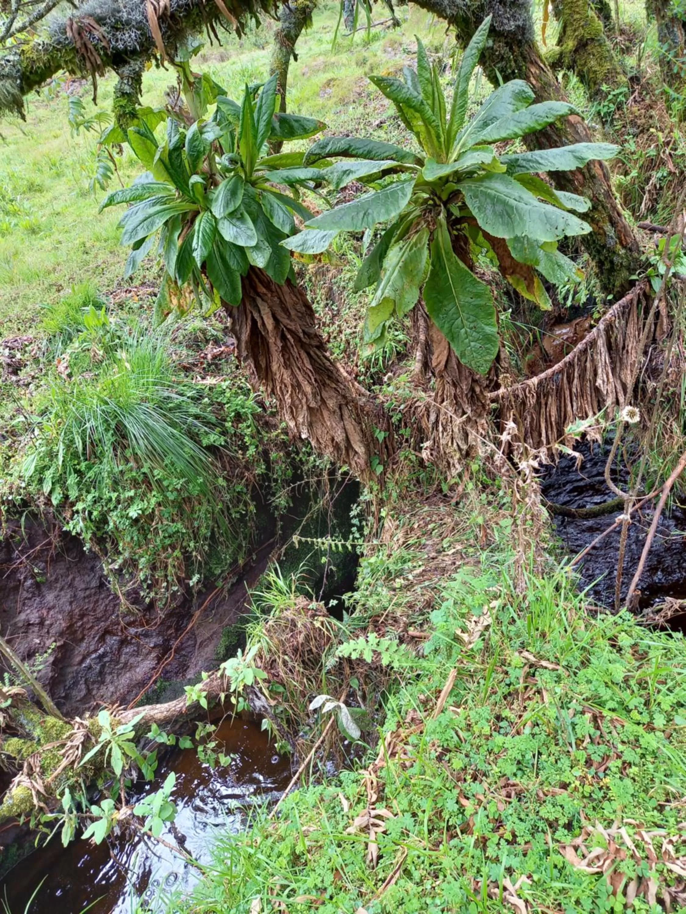 Natural landscape in Isange Paradise Resort