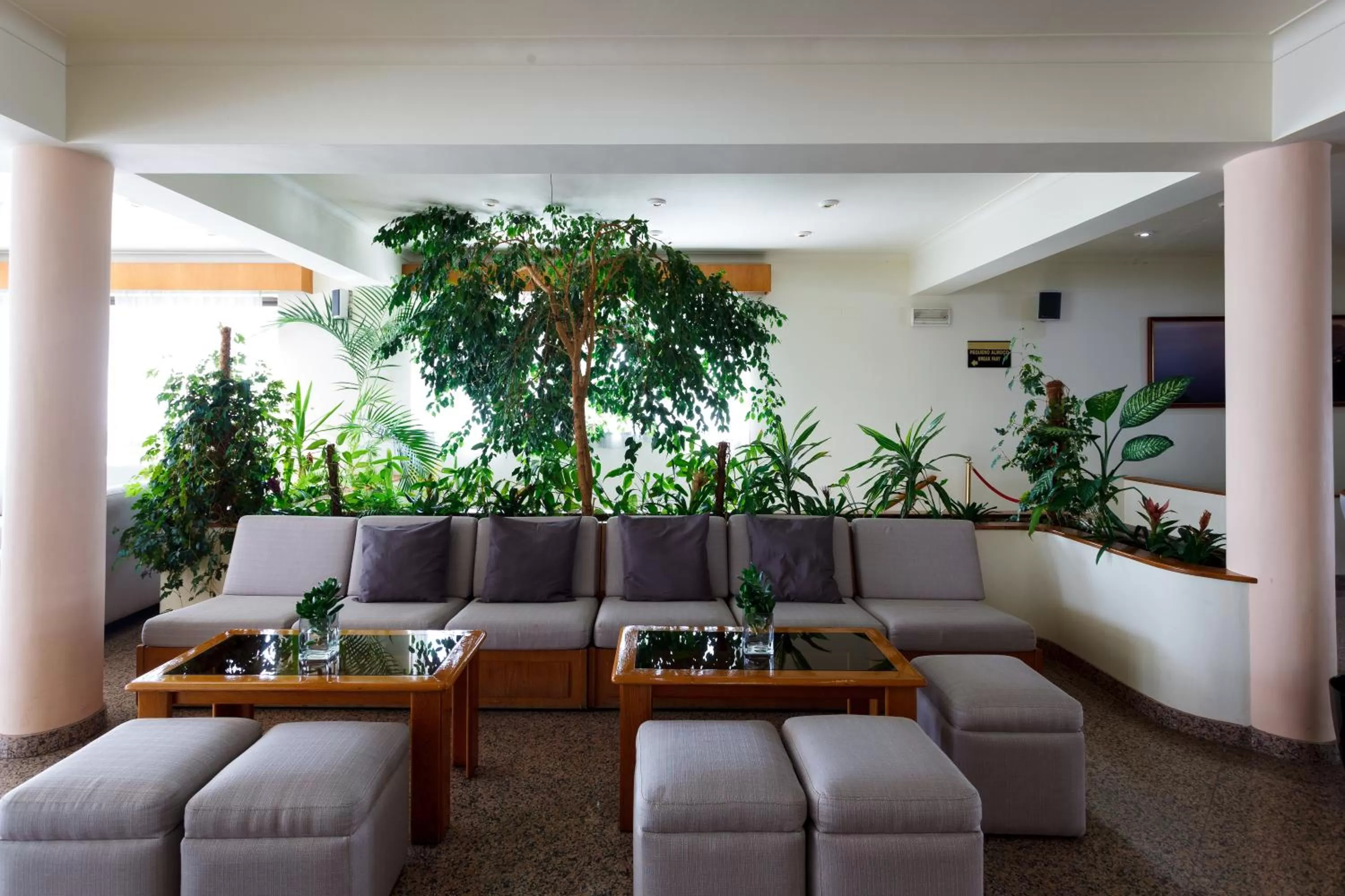 Lounge or bar in Hotel Sao Jorge Garden