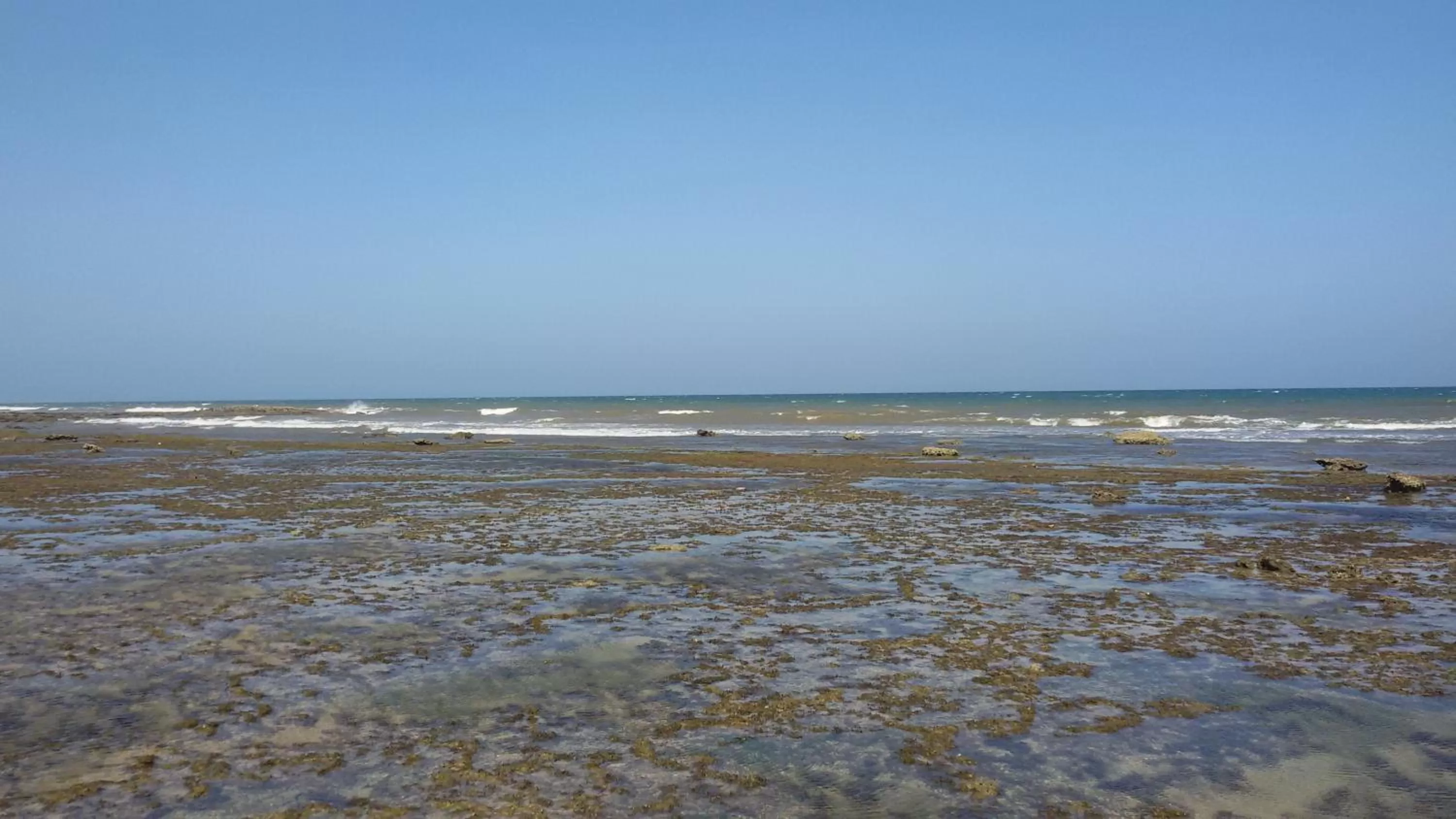 Sea view, Beach in Bahari Pori Resort