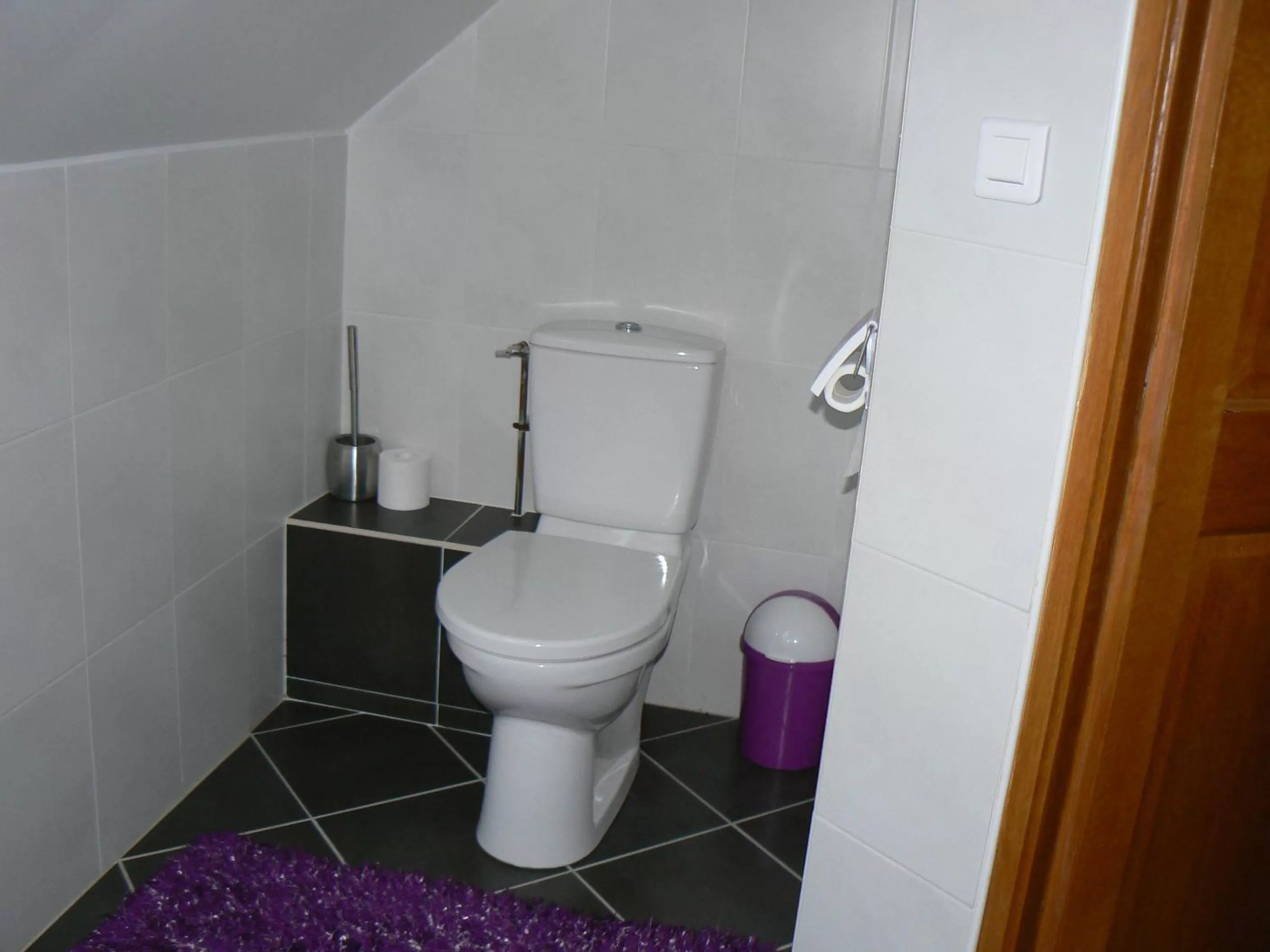 Toilet in Le Manoir des Chapelles