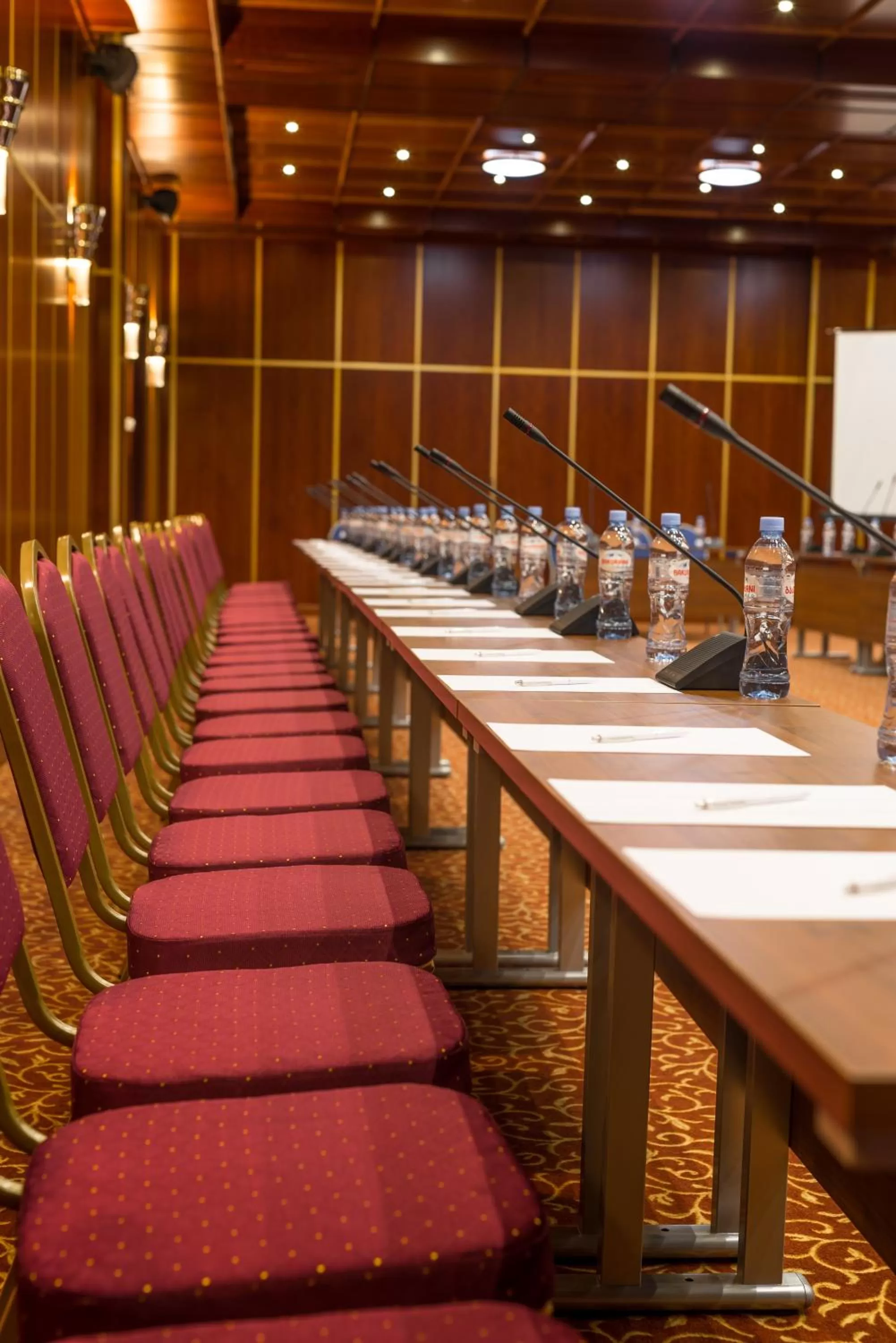Meeting/conference room in Kopala Tskneti Hotel