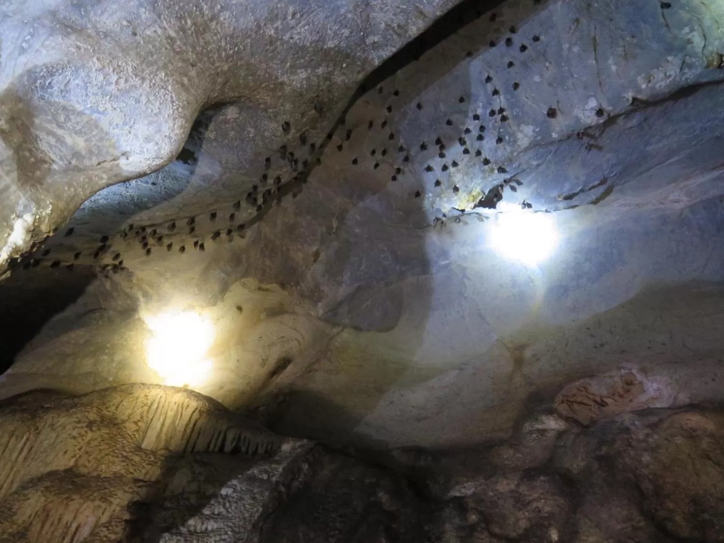 Activities in Khao Sok Jungle Huts Resort