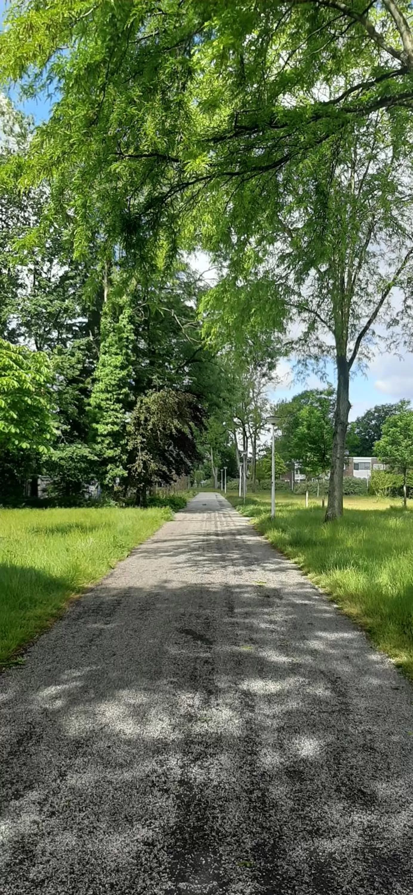 Neighbourhood in Mi BnB Amsterdam