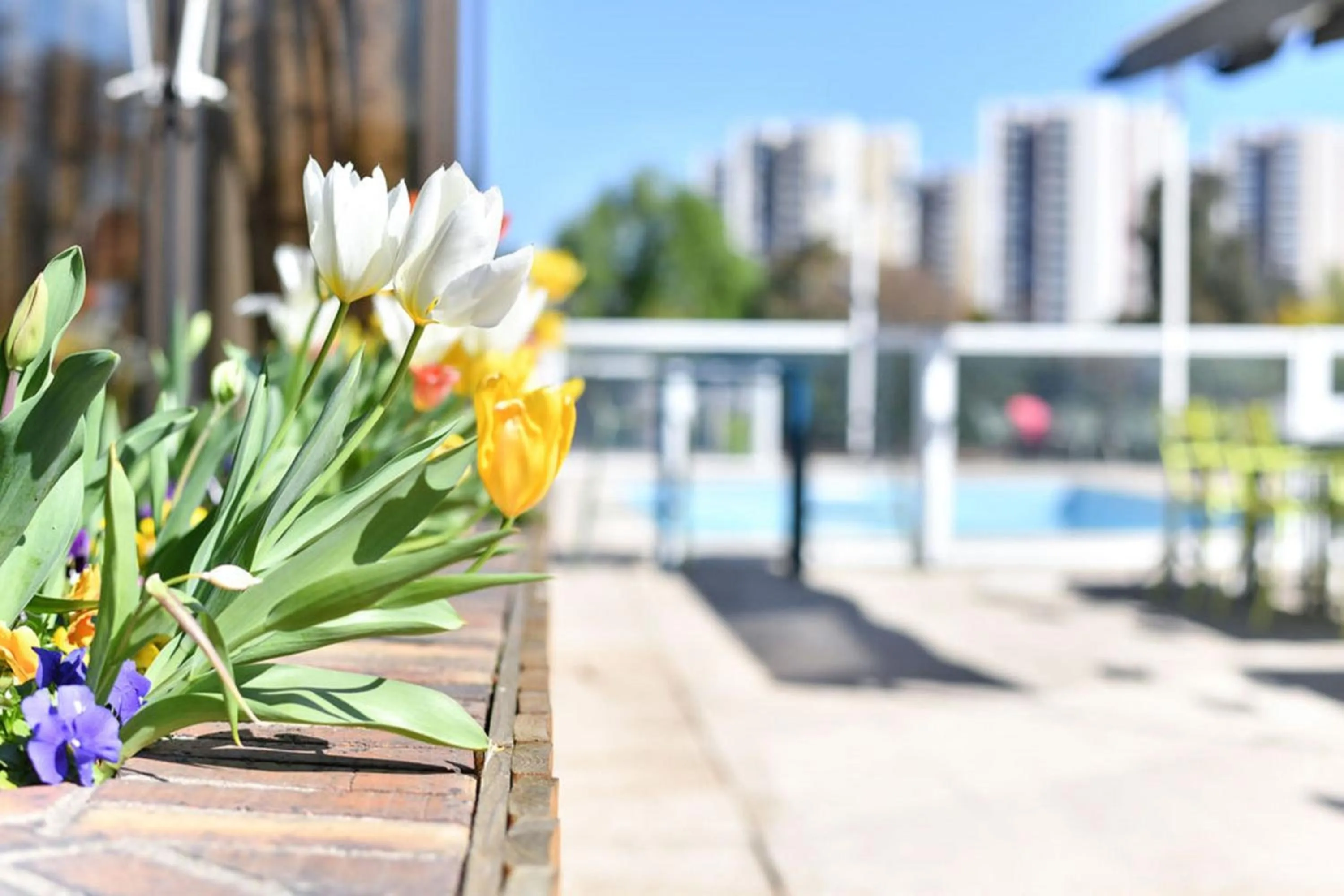 Patio in Novotel Paris Créteil Le Lac
