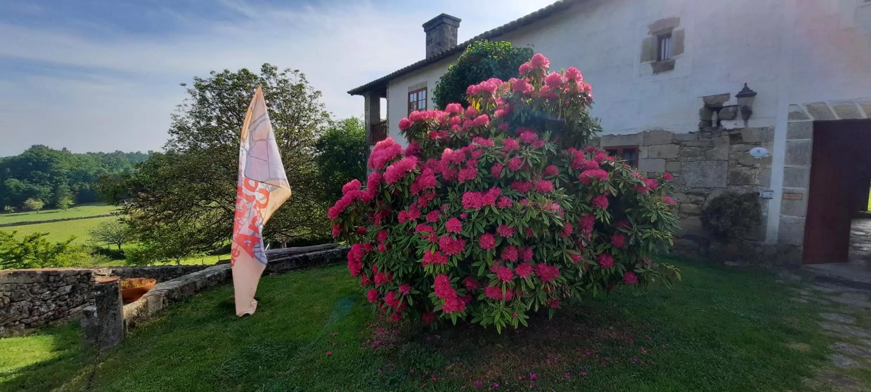 Property building in Rectoral de Anllo