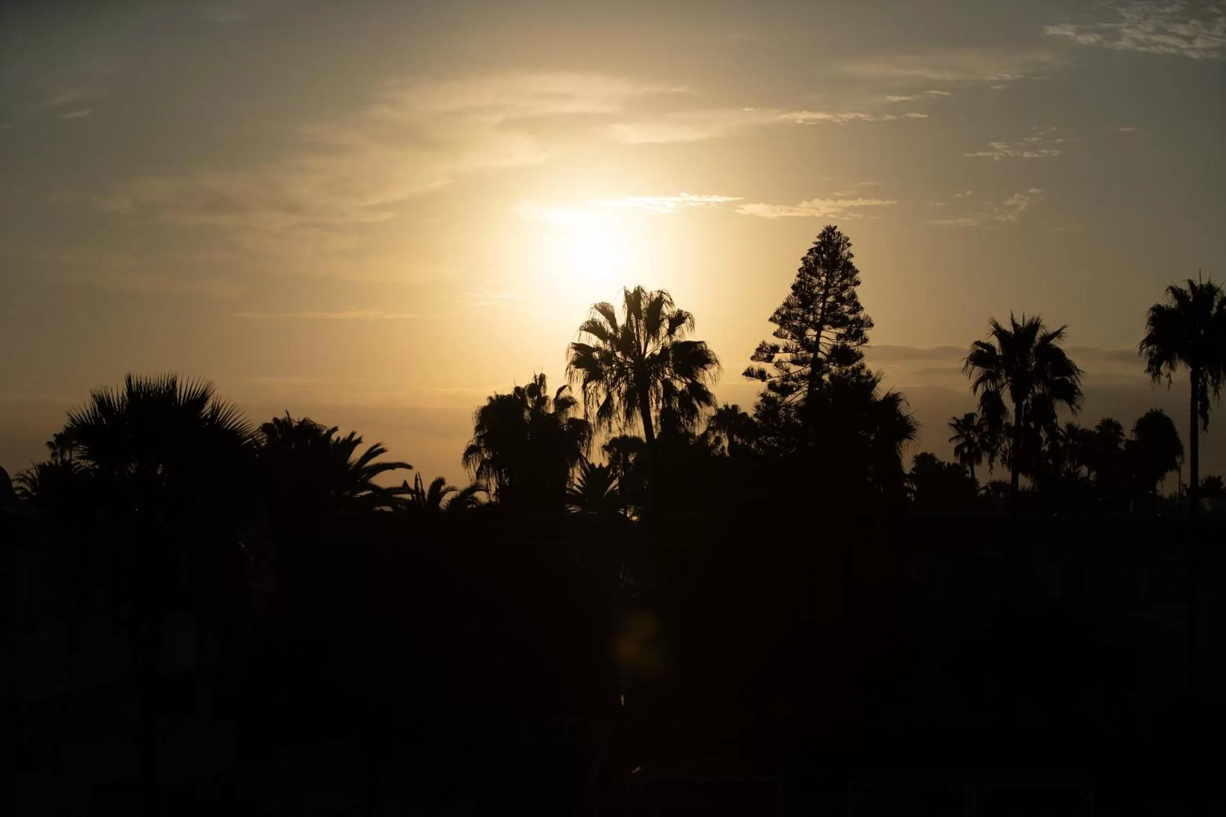 Natural landscape in Fuentepark Apartments