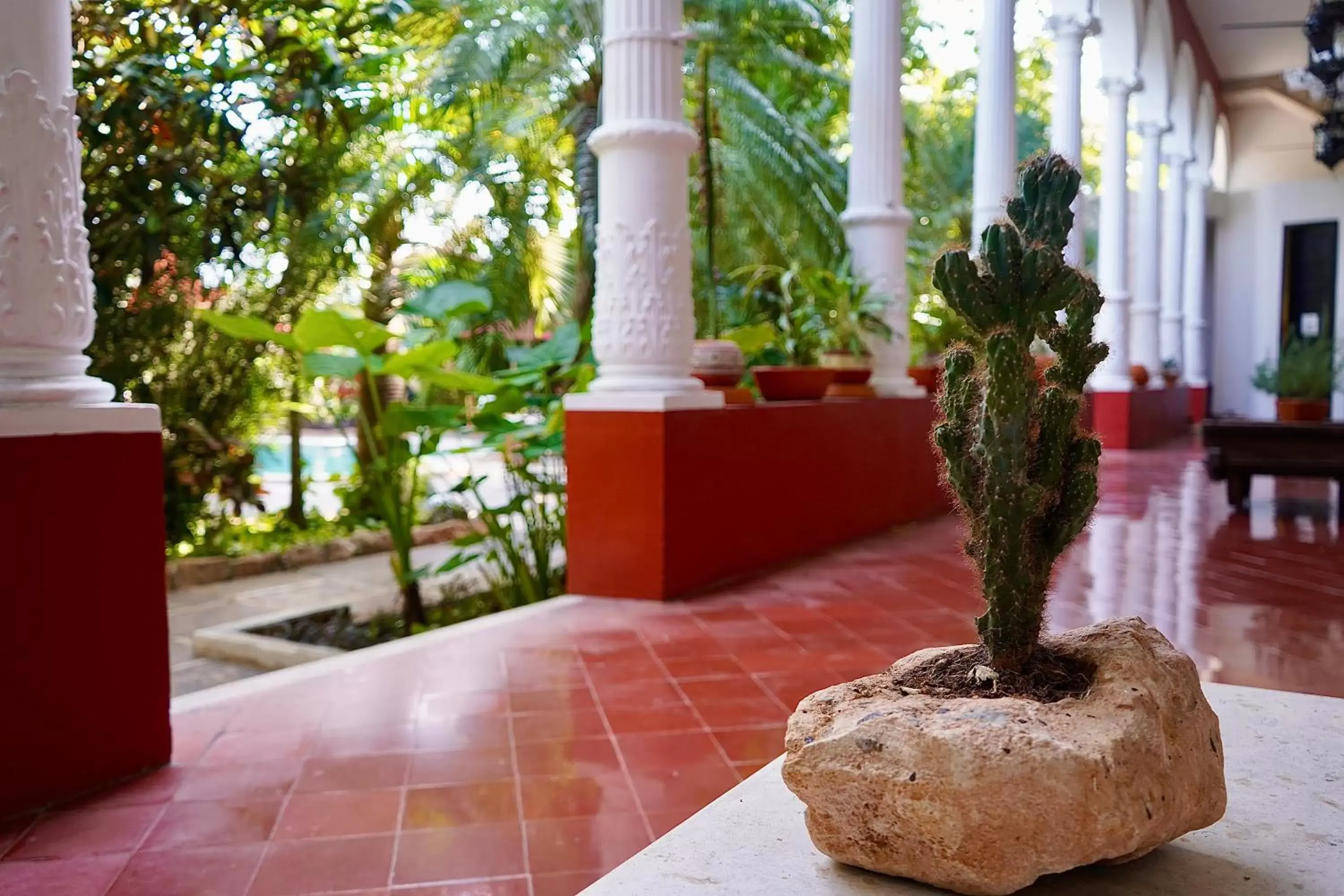 Deluxe Double or Twin Room with Pool View in Villa Merida Boutique Hotel Deluxe Double or Twin Room with Pool View in Villa Merida Boutique Hotel