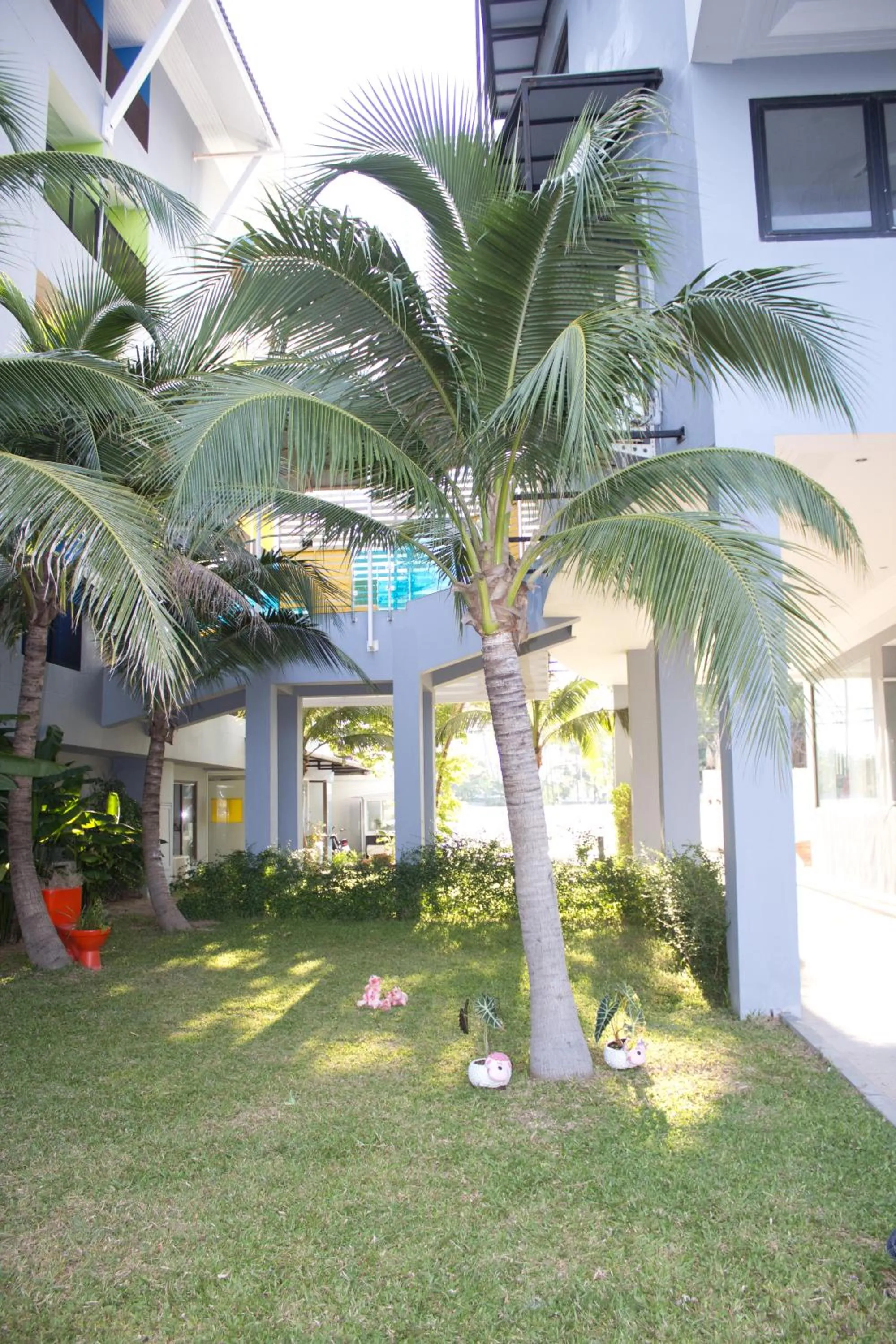 Facade/entrance in Samui Verticolor