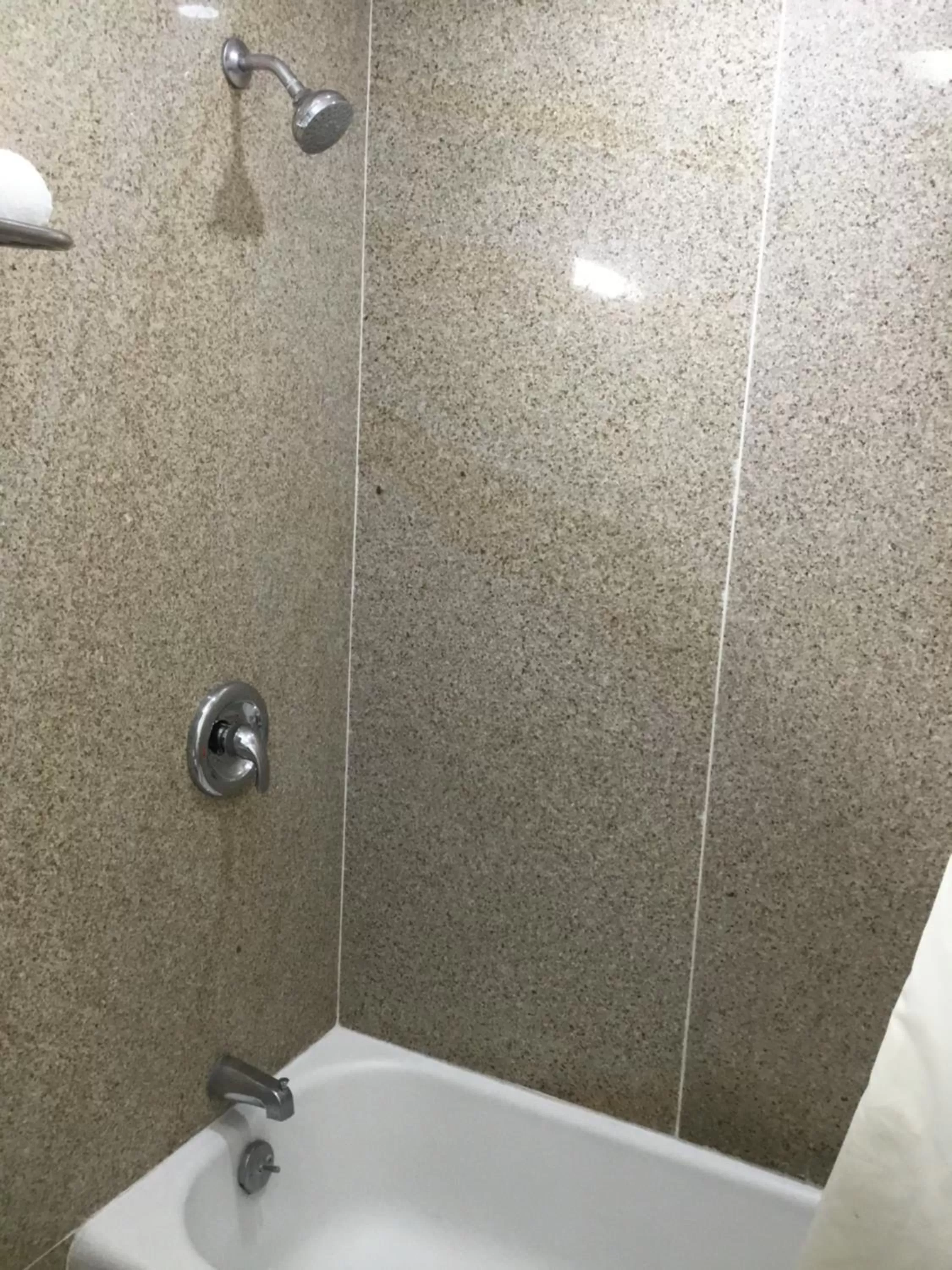 Bathroom in Budget Inn Plainview