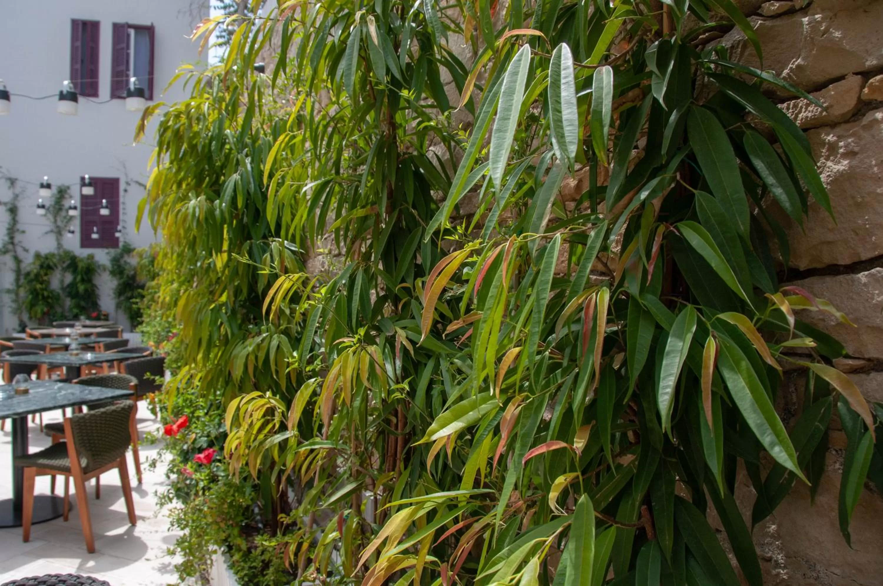 Garden in S Paul City Hotel