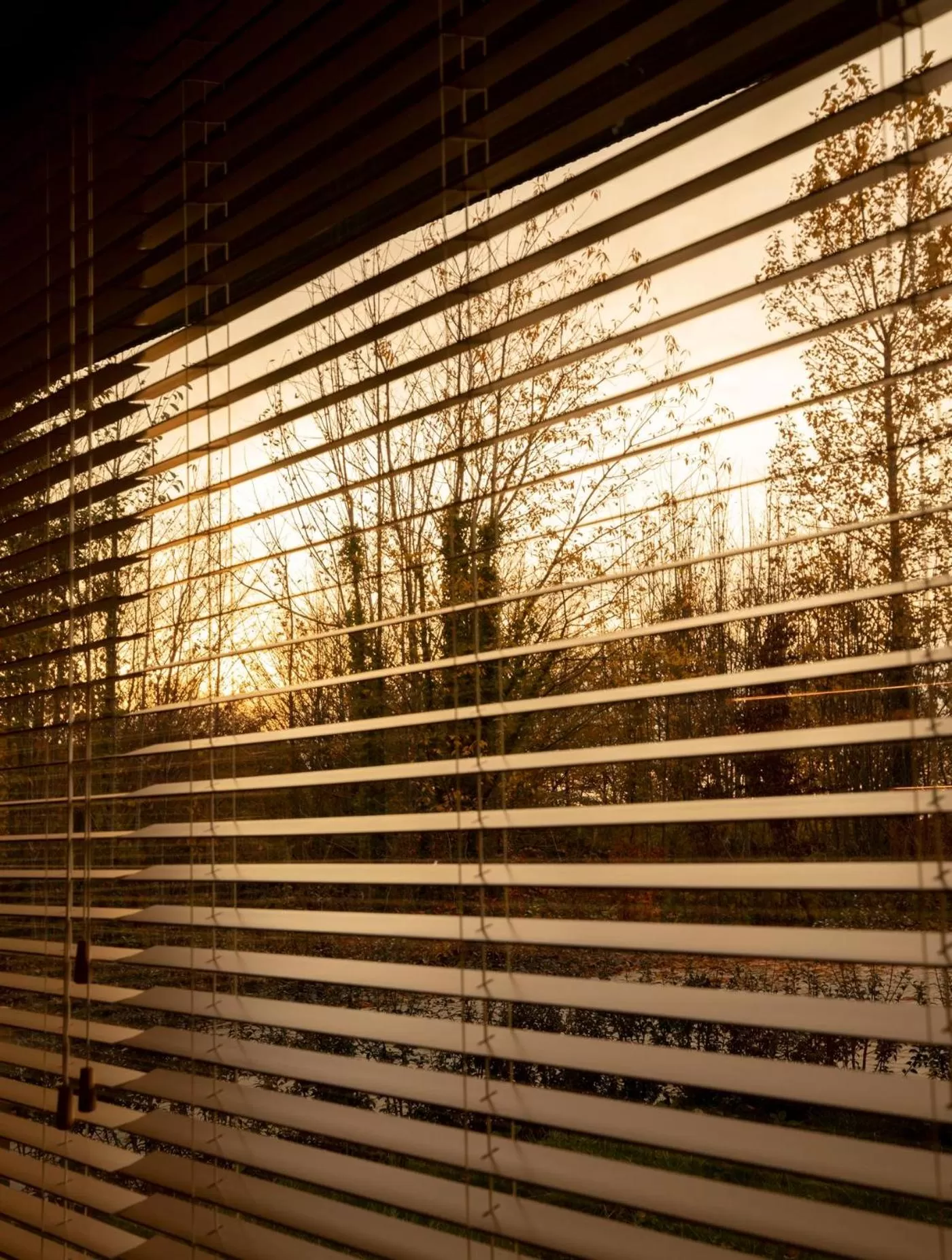 Garden in B-Lodge Boutique Hôtel