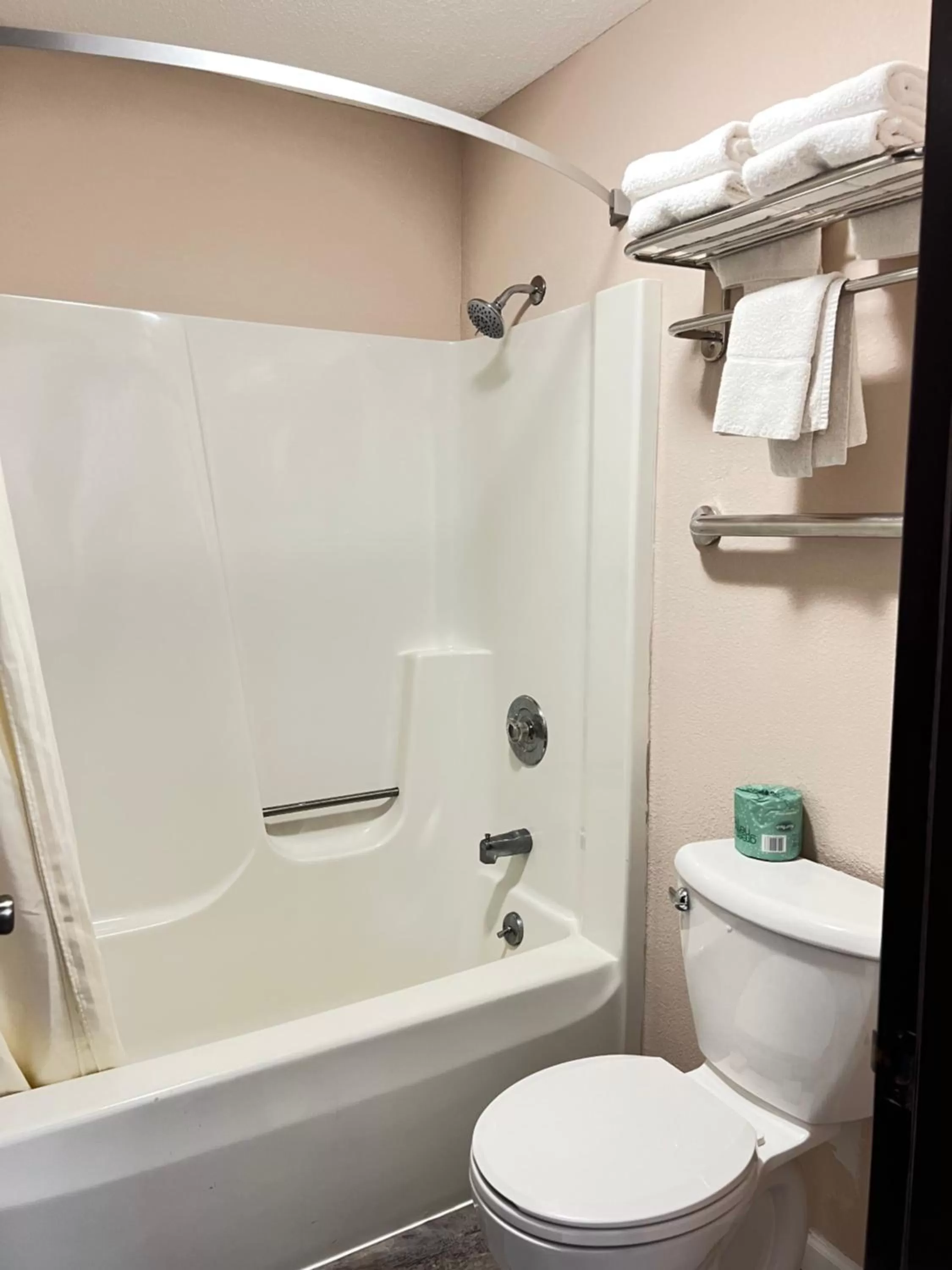 Viking Arms Inn - Ludington