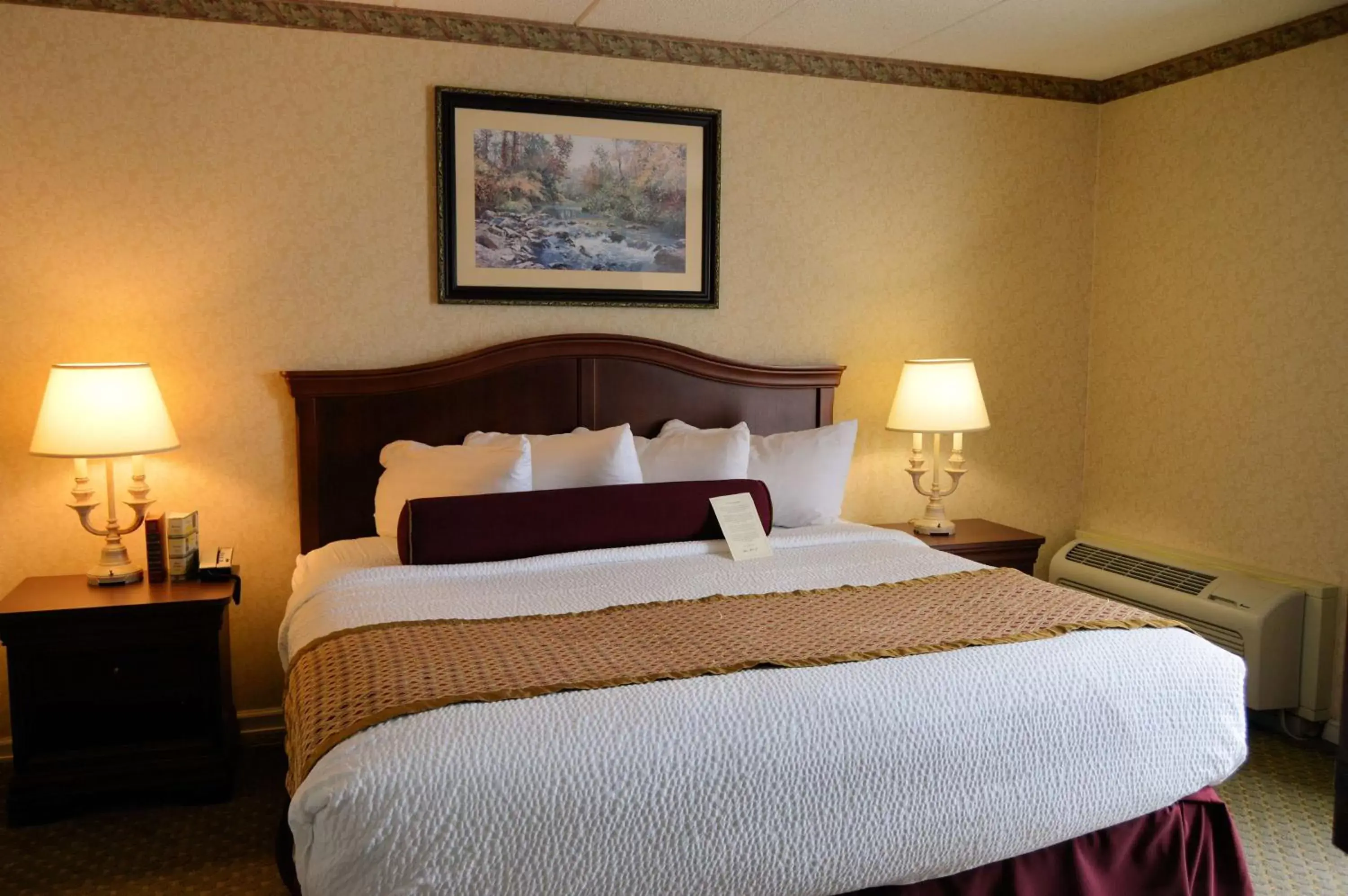 King Suite with Sofa Bed and Hot Tub - Non-Smoking in Best Western Plus Wilkes Barre Center City King Suite with Sofa Bed and Hot Tub - Non-Smoking in Best Western Plus Wilkes Barre Center City