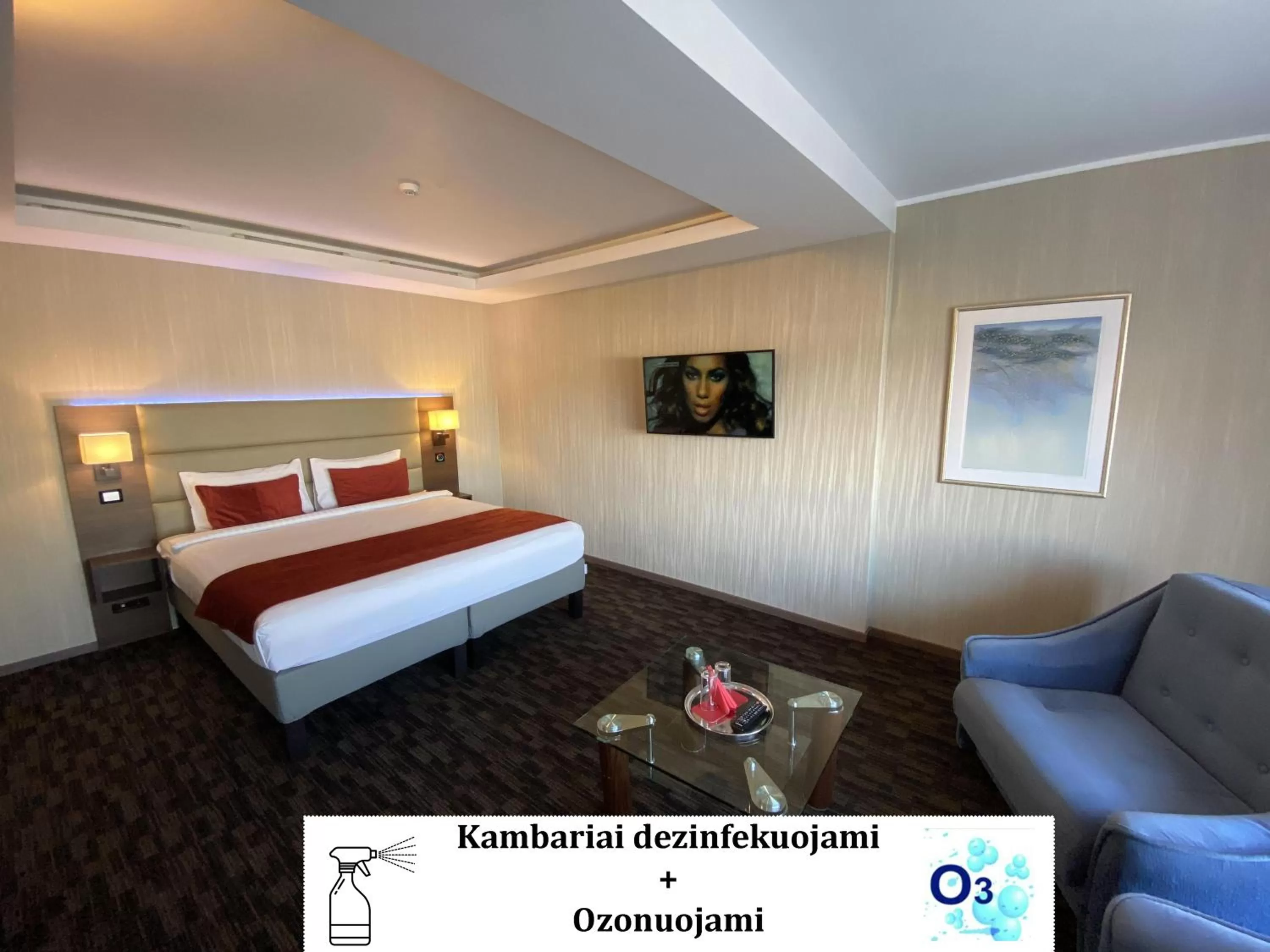 Photo of the whole room in Olympus Hotel