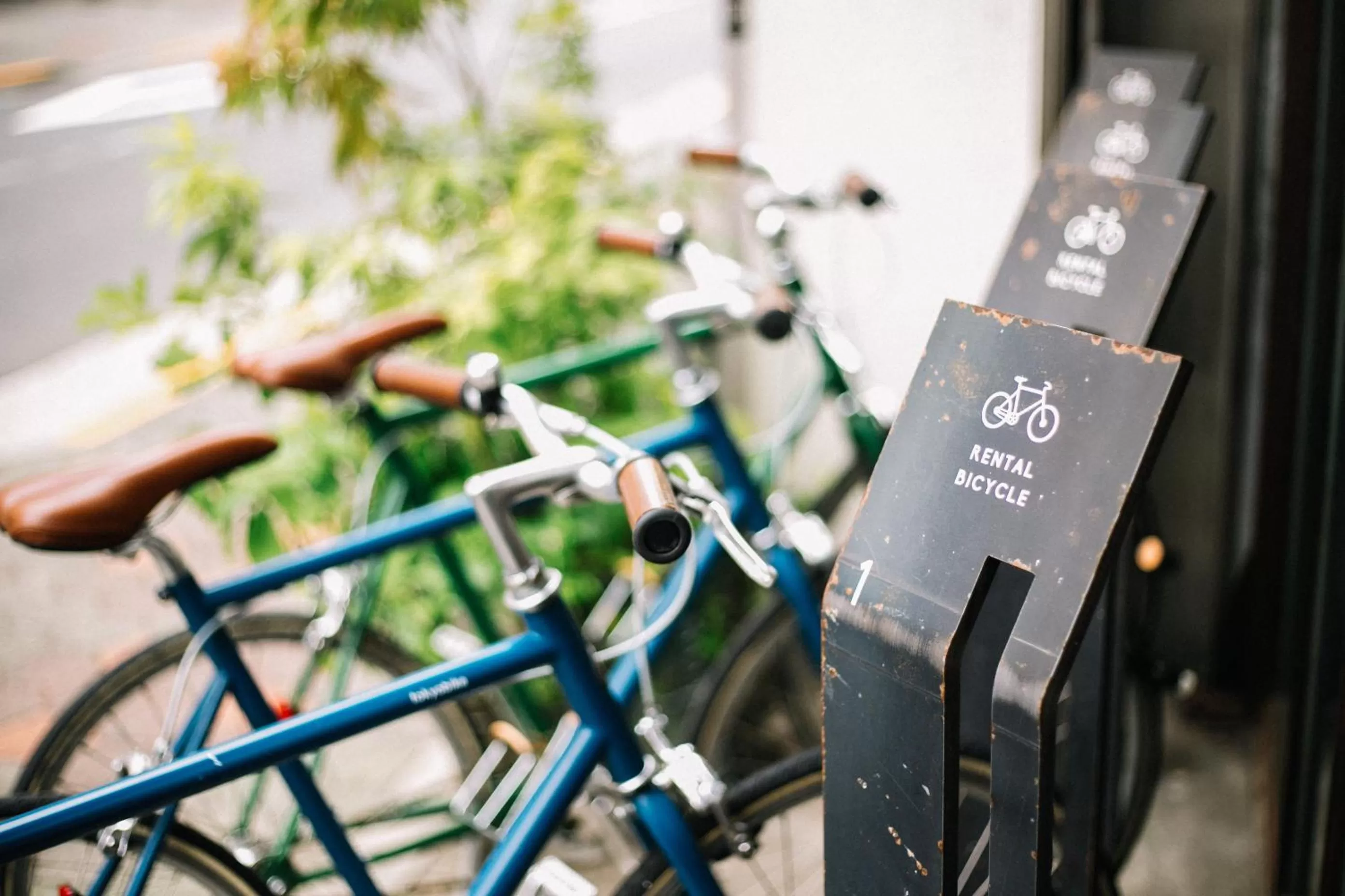 Activities in Nui. HOSTEL & BAR LOUNGE