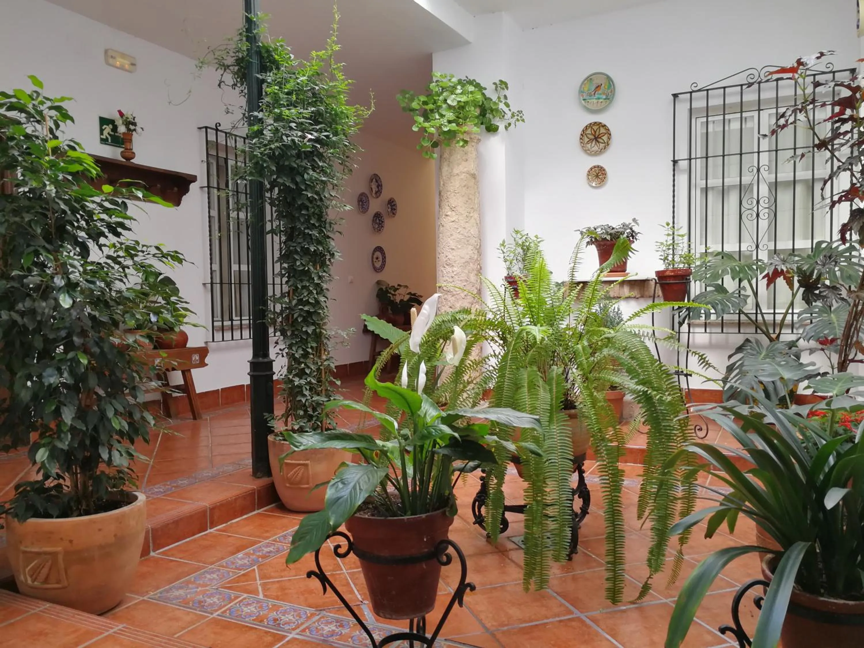 Patio in Hotel Maestre