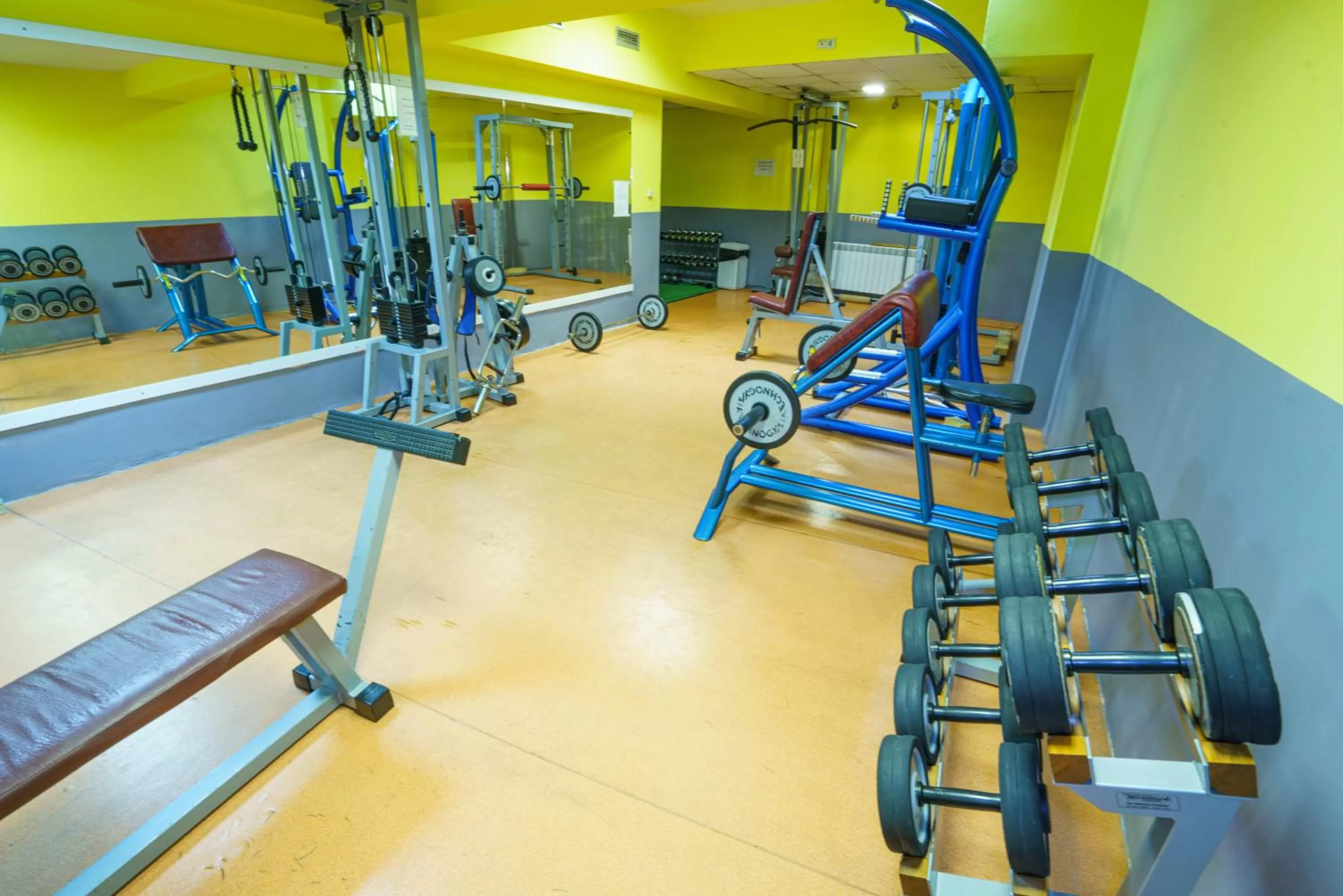 Fitness Center/Facilities in Troyan Plaza Hotel