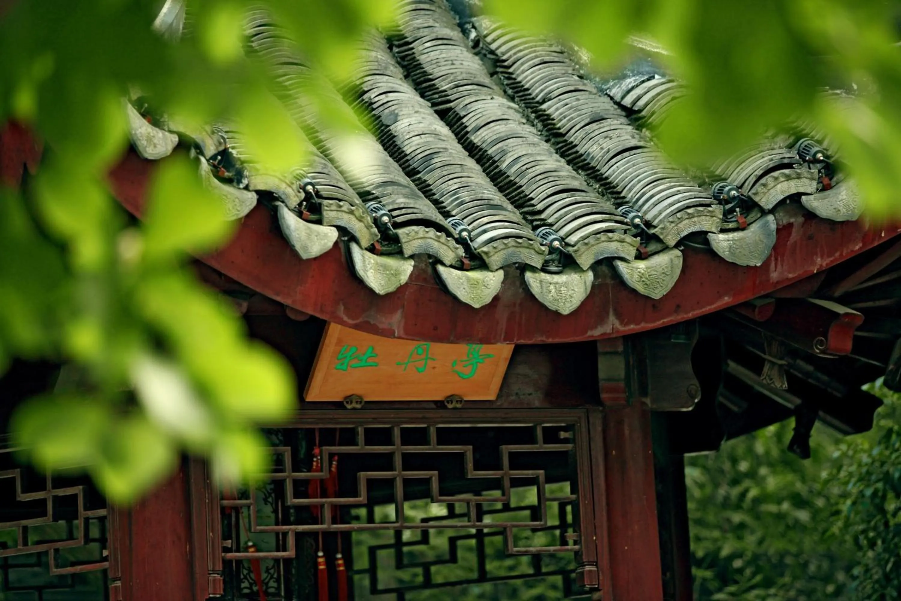 Garden in Garden Hotel Suzhou