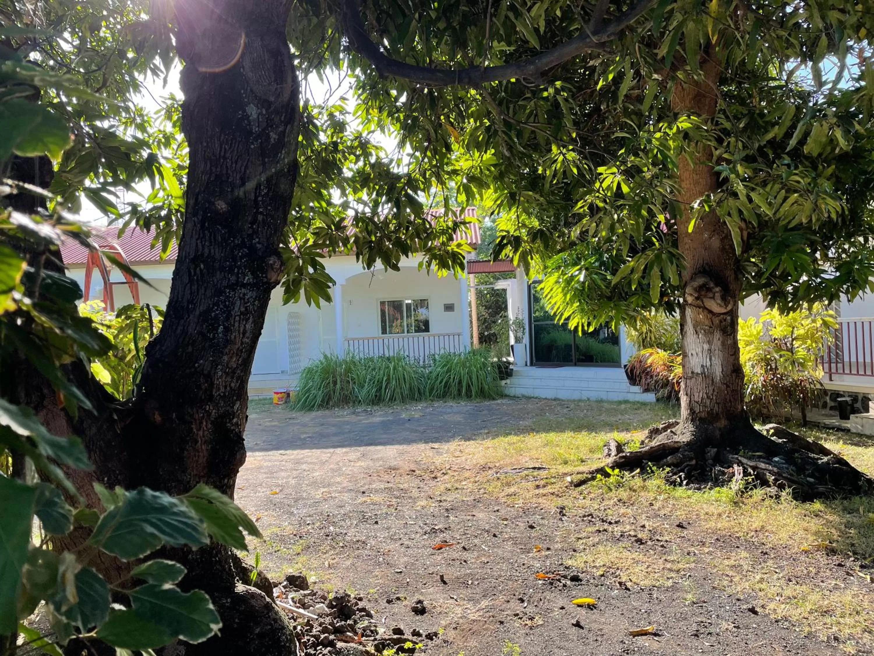 Garden in Hôtel La Grillade