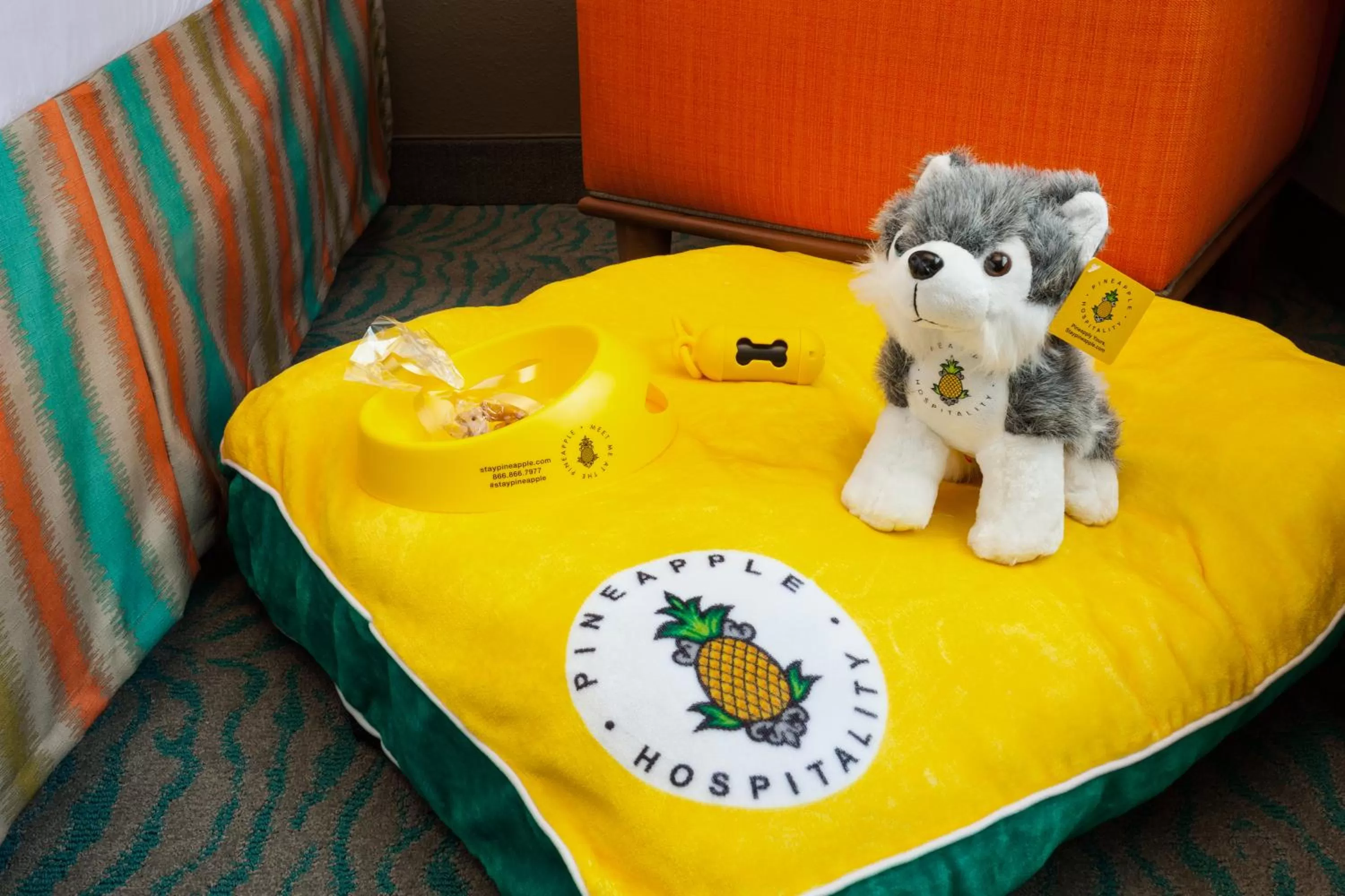 Pets in Staypineapple, University Inn, University District Seattle