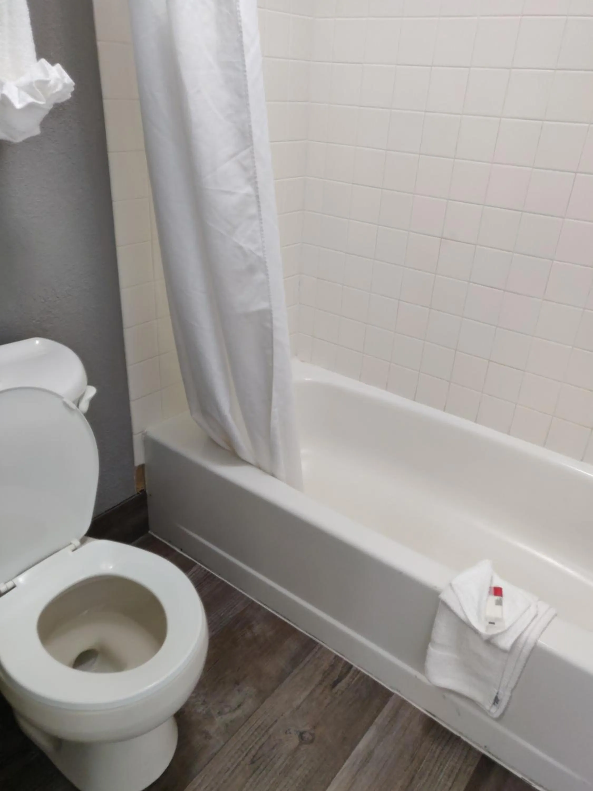 Toilet in Cedar Cove
