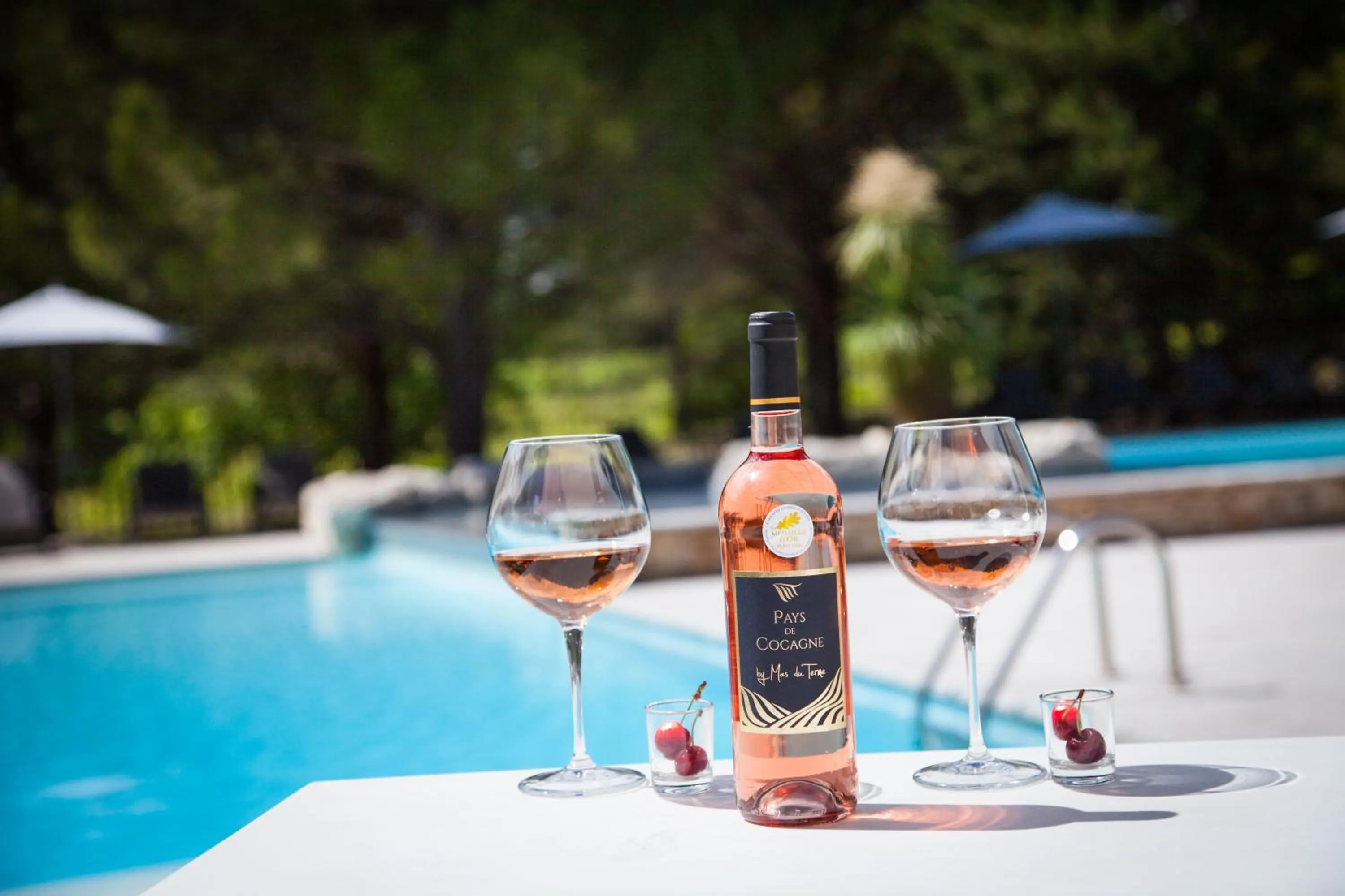 Restaurant/places to eat in Le Mas du Terme