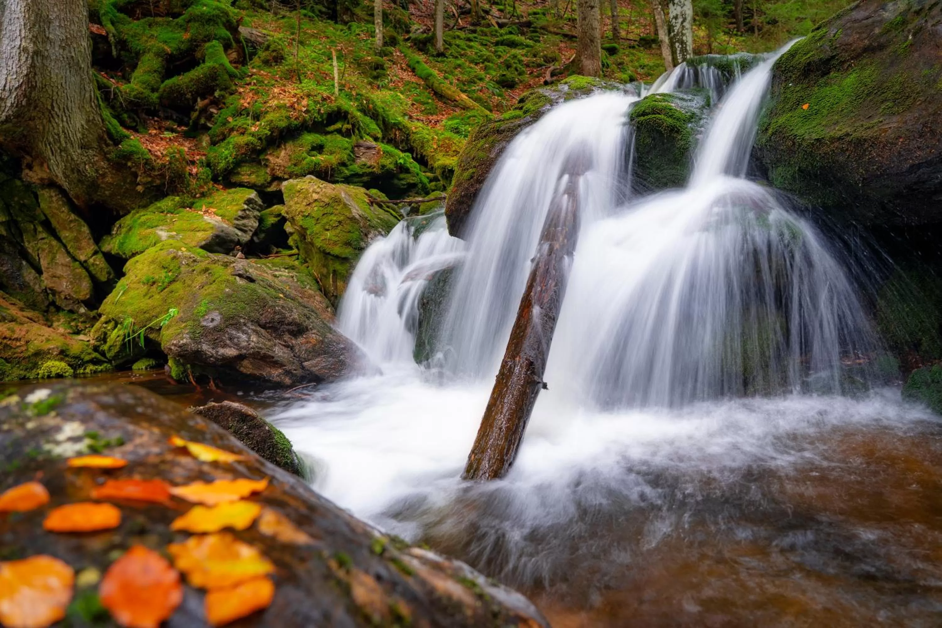 Off site in Wander und Aktiv Hotel Rösslwirt