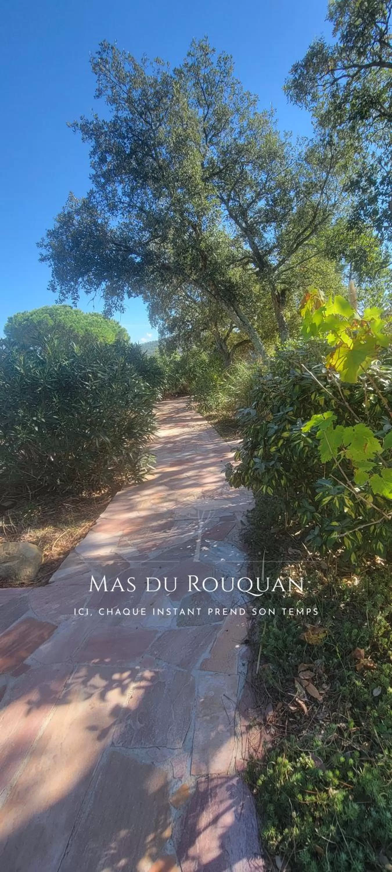 Natural landscape in Le Mas du Rouquan