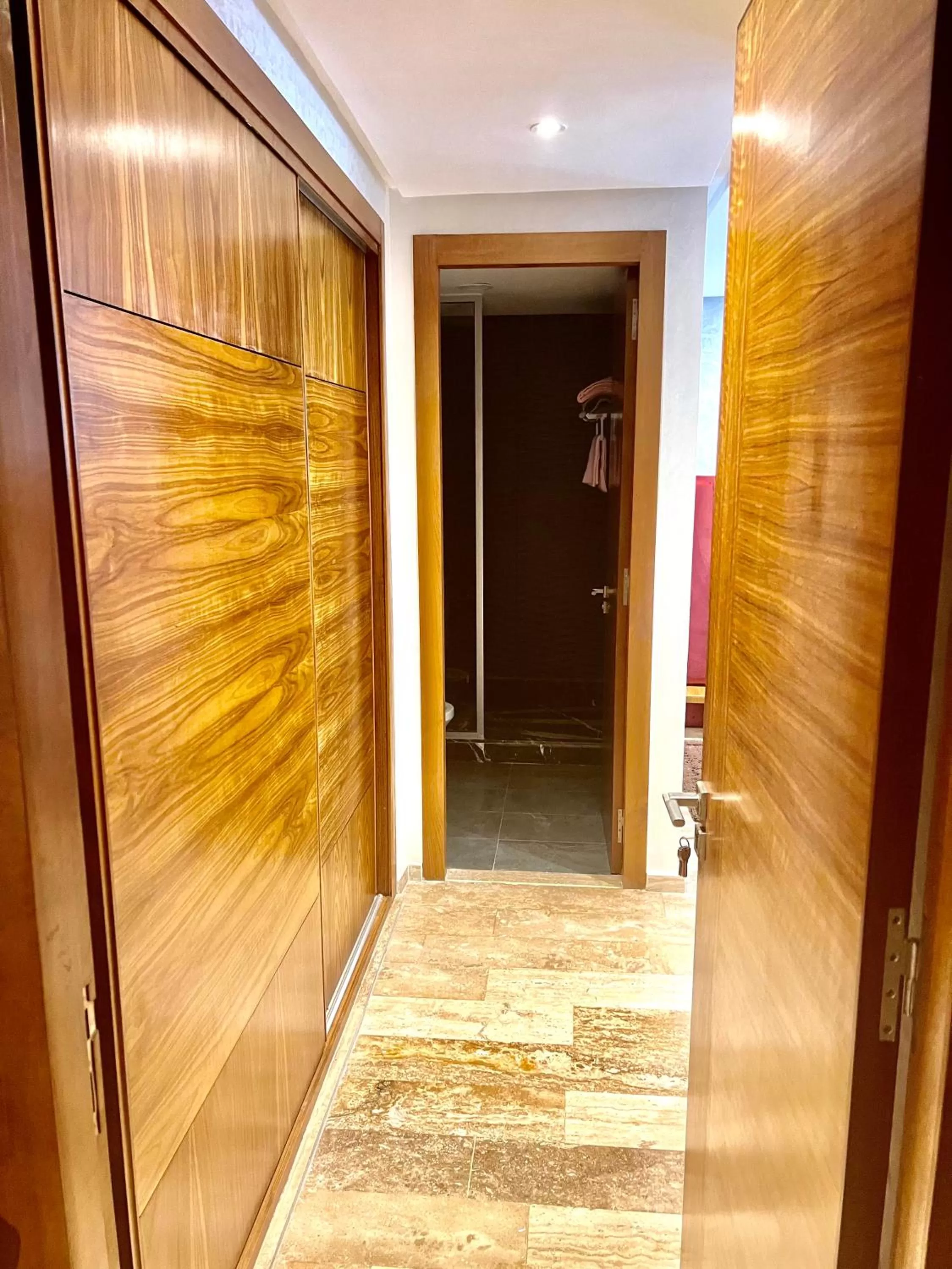 wardrobe in Luxury apartment 2
